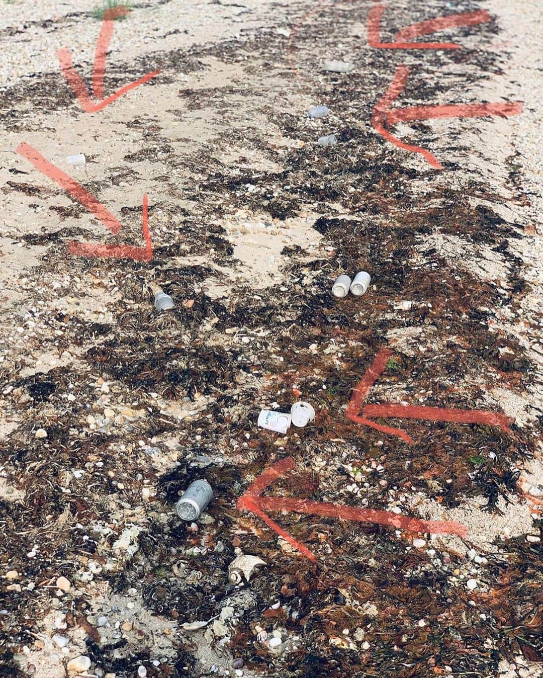 Araksさんのインスタグラム写真 - (AraksInstagram)「Thank you @bridgetmoynahan for joining us and using your platform to make a difference and inspire people.⁠⠀ ⁠⠀ RG @bridgetmoynahan #bounty of a different kind.  It breaks my heart seeing trash on a beach so I always try to do my part and help clean up. This time I am also doing it to support my friend araks_yeramyan and her #arakssummercleanup.  Hoping you all will help too #anywheretrash #pickitup. ⁠⠀ ⁠⠀ You can take part in this challenge from wherever you are, by picking up litter on your next run / walk / ride / whatever.⁠⠀⁠⠀ ⁠⠀⁠⠀ Enter to win a swimsuit of your choice from our Recycled Swim Collection by doing the ⁠⠀⁠⠀ following:⁠⠀⁠⠀ ⁠⠀⁠⠀ 1. Follow @araksofficial⁠⠀⁠⠀ 2. Post photos of your cleanup and tag @araksofficial⁠⠀⁠⠀ 3. Use #AraksSummerCleanup⁠⠀⁠⠀ ⁠⠀⁠⠀ Each post receives one entry and entries are unlimited, so the more posts you make the more entries you get. ⁠⠀⁠⠀ ⁠⠀⁠⠀ On August 1st, one winner will be randomly selected. ⁠⠀⁠⠀ ⁠⠀⁠⠀ I believe that each of us can make a difference and that small steps can lead to a big impact. ~ @araks_yeramyan⁠⠀ ⁠」7月23日 23時59分 - araksofficial