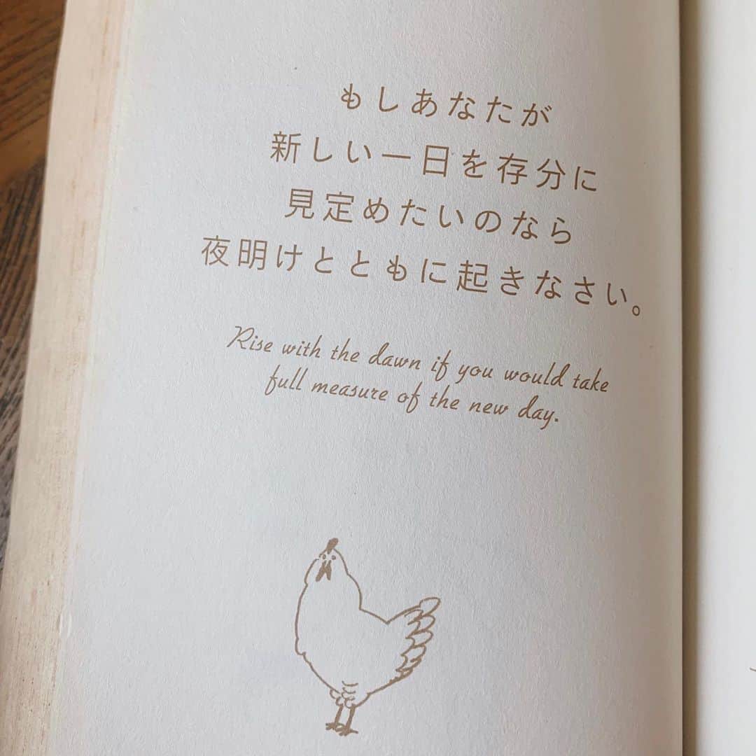 西本ヒカルのインスタグラム：「ロケ地で見つけた素敵な言葉🐓 明日も頑張ろう☺︎」