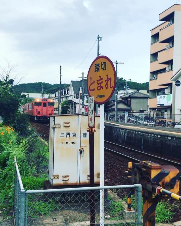 おんむすのインスタグラム：「風情やば」