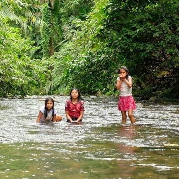 unicefさんのインスタグラム写真 - (unicefInstagram)「“I know children can’t go to school right now, but they are still learning at home with help from their parents. And they’re still able to play in the river and enjoy our beautiful nature.”  Sylvia’s daughter Raiza is staying home in the Ecuadorian Amazon, and finding lots of ways to keep busy. After her lessons, she loves to play in the river with her cousins.  © UNICEF/Kingman」7月24日 0時45分 - unicef