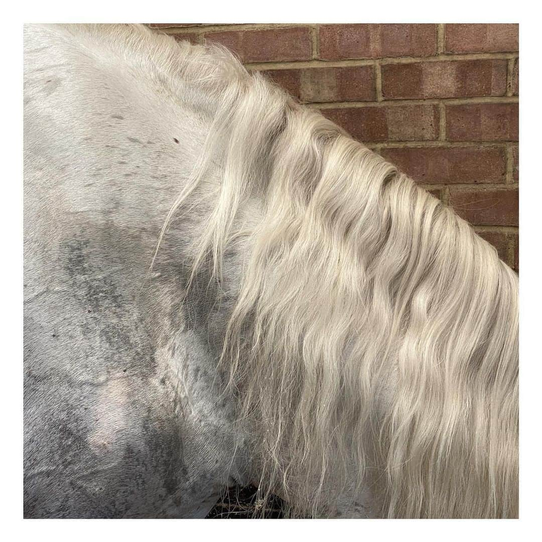 メアリー・マッカートニーさんのインスタグラム写真 - (メアリー・マッカートニーInstagram)「#thewhitehorse 💓💙」7月24日 1時08分 - marymccartney