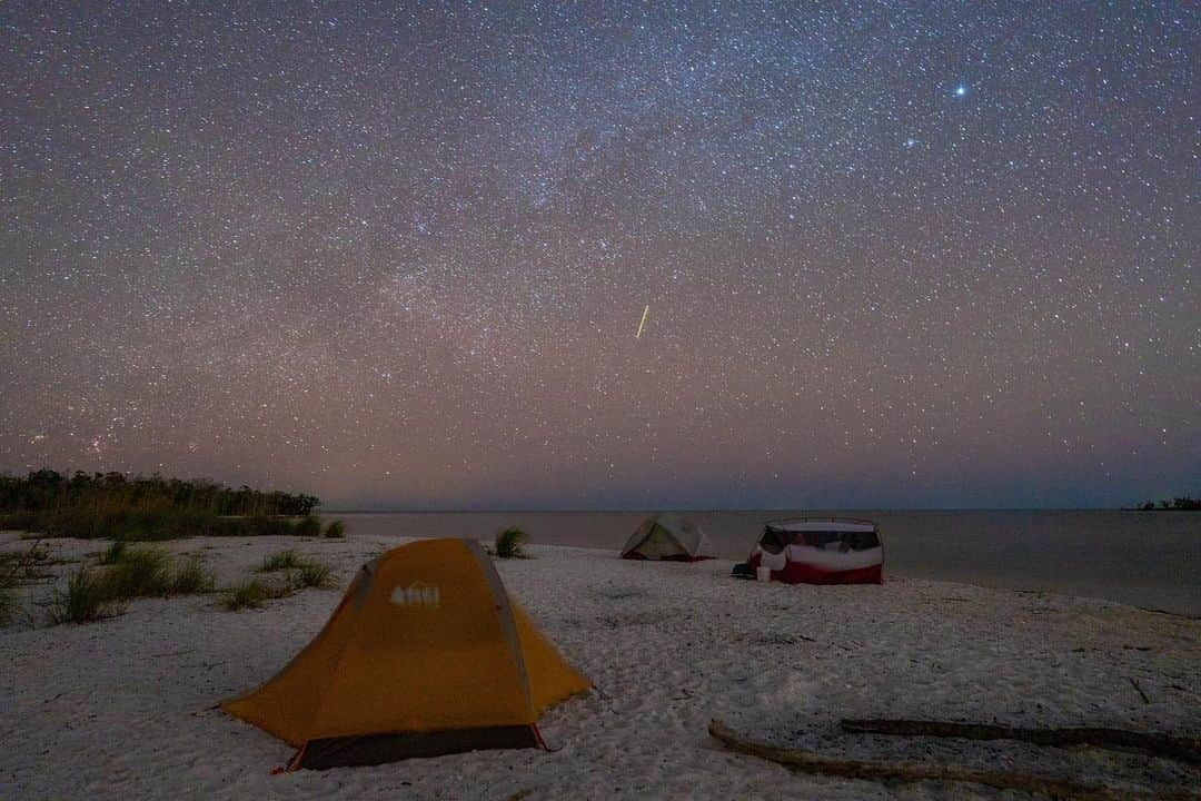 National Geographic Travelさんのインスタグラム写真 - (National Geographic TravelInstagram)「Photos by @CarltonWard  Just before COVID-19 lockdown this spring, I was able to do one of my favorite things: camp on an island in Florida’s Ten Thousand Islands. Accessible by boat from Everglades City, this watery wilderness gives me the feeling of immersion in nature I am often craving from Florida’s more crowded coastlines. Thankfully, Everglades National Park and a network of federal and state preserves protect four million acres of contiguous public land in South Florida. That makes the Ten Thousand Islands wonderfully isolated, which is apparent by the bright stars seldom visible from more developed beaches.  For more adventures, please follow @carltonward. #FloridaWild #KeepFLWild @FL_WildCorridor @PathofthePanther」7月24日 1時13分 - natgeotravel