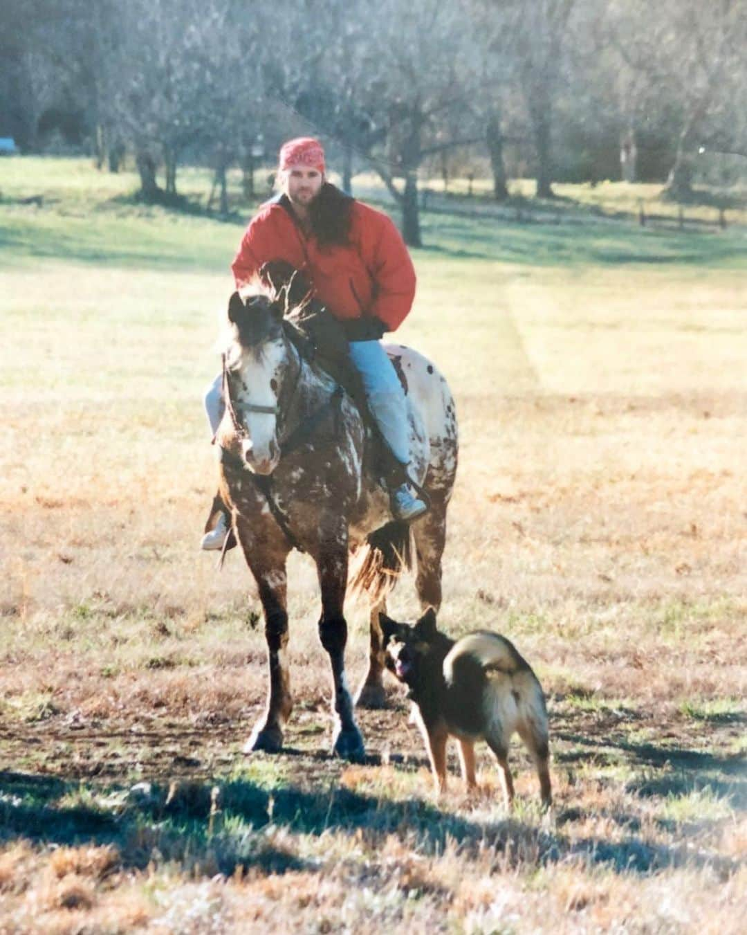 ビリー・レイ・サイラスさんのインスタグラム写真 - (ビリー・レイ・サイラスInstagram)「One of my favorite memories. My sweet little dog Sheeba and my great horse Roam Man. Back when winters used to get cold. Global Warming was just taking hold...and we would chase the sun across the sky until night fall.」7月24日 1時30分 - billyraycyrus