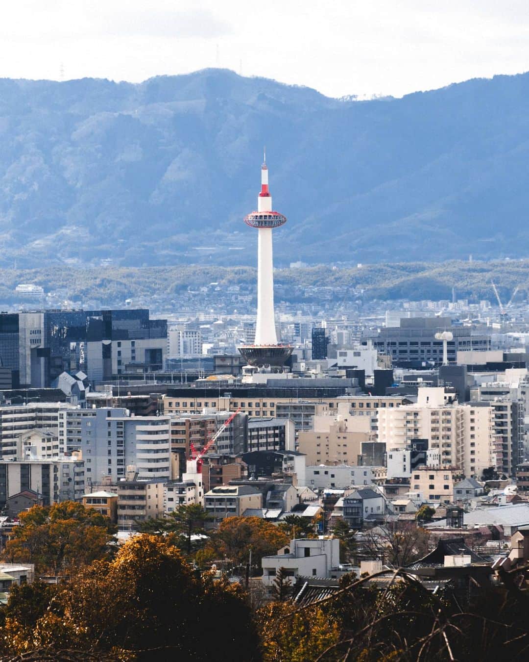 woody_chaiのインスタグラム：「kyoto」