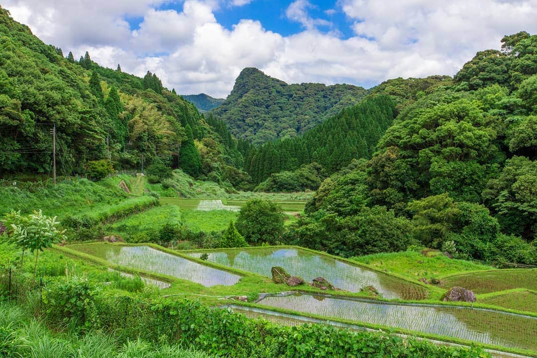 鹿児島よかもん再発見さんのインスタグラム写真 - (鹿児島よかもん再発見Instagram)「薩摩川内市入来町の内之尾の棚田へ(^-^)/  日本の棚田百選  鹿児島には 湧水町「幸田の棚田」 南九州市「佃の棚田」 そして、この「内之尾の棚田」があります。  長雨になる前、ほんの少しの晴れ間に訪ねました。  大好きな場所のひとつです。。  #鹿児島 #鹿児島観光 #鹿児島の風景 #鹿児島の自然 #鹿児島の棚田 #日本の棚田百選 #内之尾の棚田 #棚田 #日本の風景 #田舎 #kagoshima #kagoshimaphotograph」7月9日 20時08分 - kagoshimayokamon