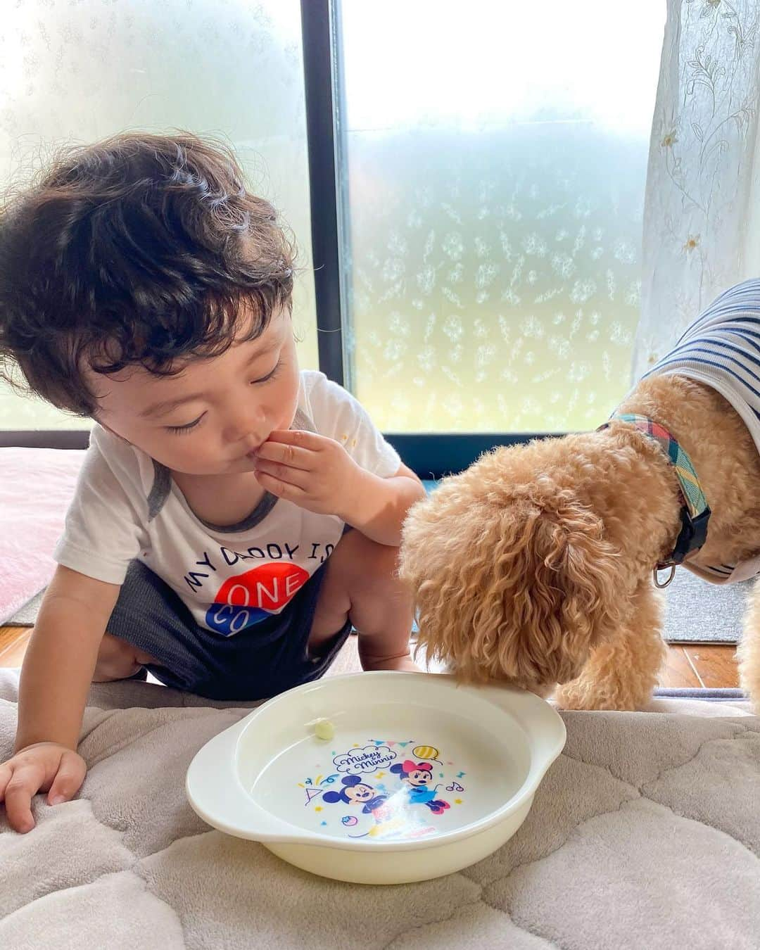 Ayaさんのインスタグラム写真 - (AyaInstagram)「仲良し👦🏻❤️🐶 気づいたらいつも遊んでる💭 癒される〜🤤 . . けいとは今日で11ヵ月になってしまった！🥱 来月で産まれてきて1年🎂やなんて早すぎる😳💦 . 日々成長してく👦🏻 既にやんちゃboy👦🏼 階段も上がるようになったり 歩くのも上手くなって よちよち歩き🚶‍♀️も終わっちゃいそう🥺 ハイハイあんまり見てない気する😂 . . 今は実家に帰省してて 甘やかしてもらってるけど 又帰ったら気合いで頑張らないとー🥴 最後の顔は最近ハマってるようです👦🏻❤️  #生後11ヶ月#赤ちゃんと犬」7月9日 20時53分 - aya__fit