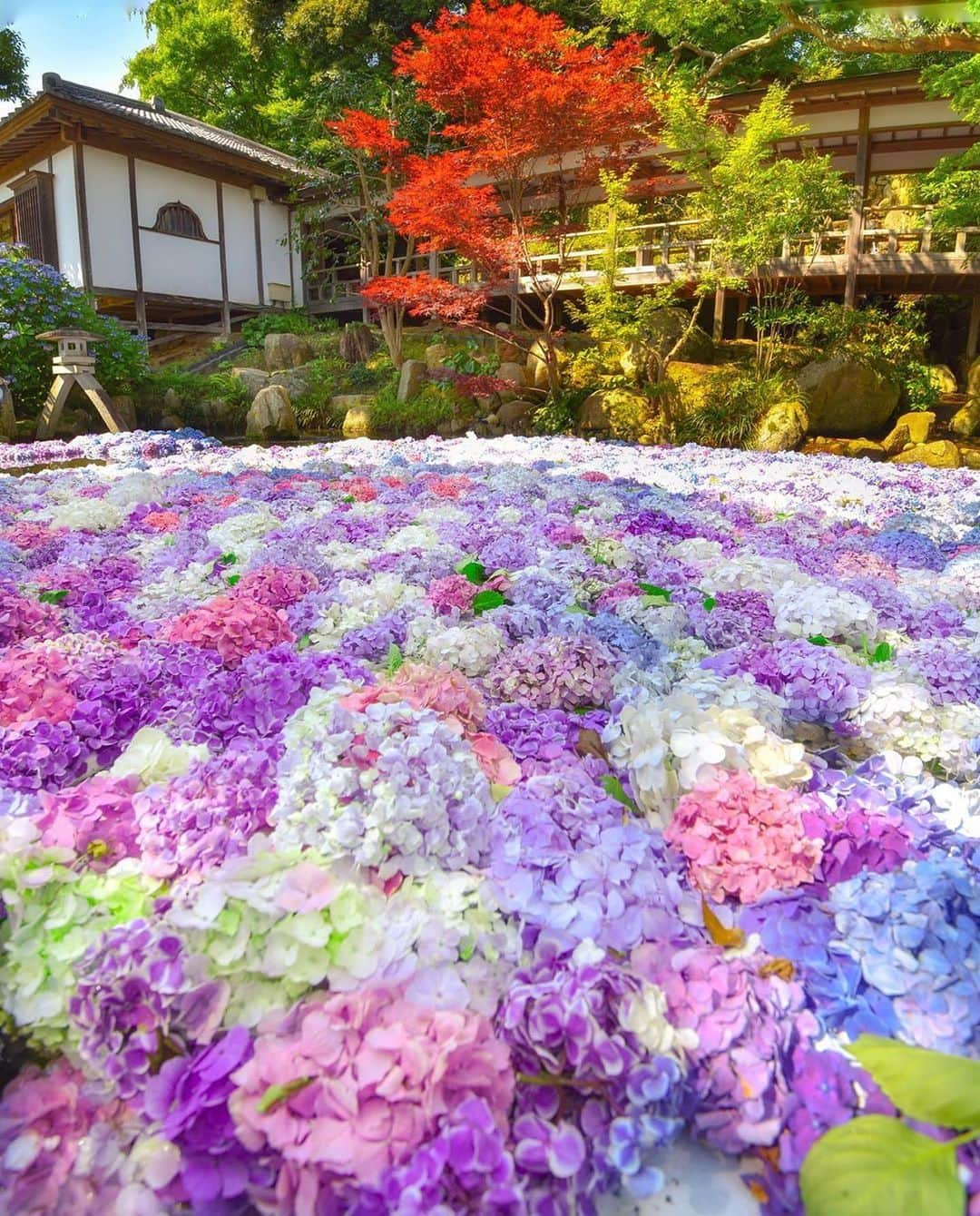 楽天トラベル のインスタグラム