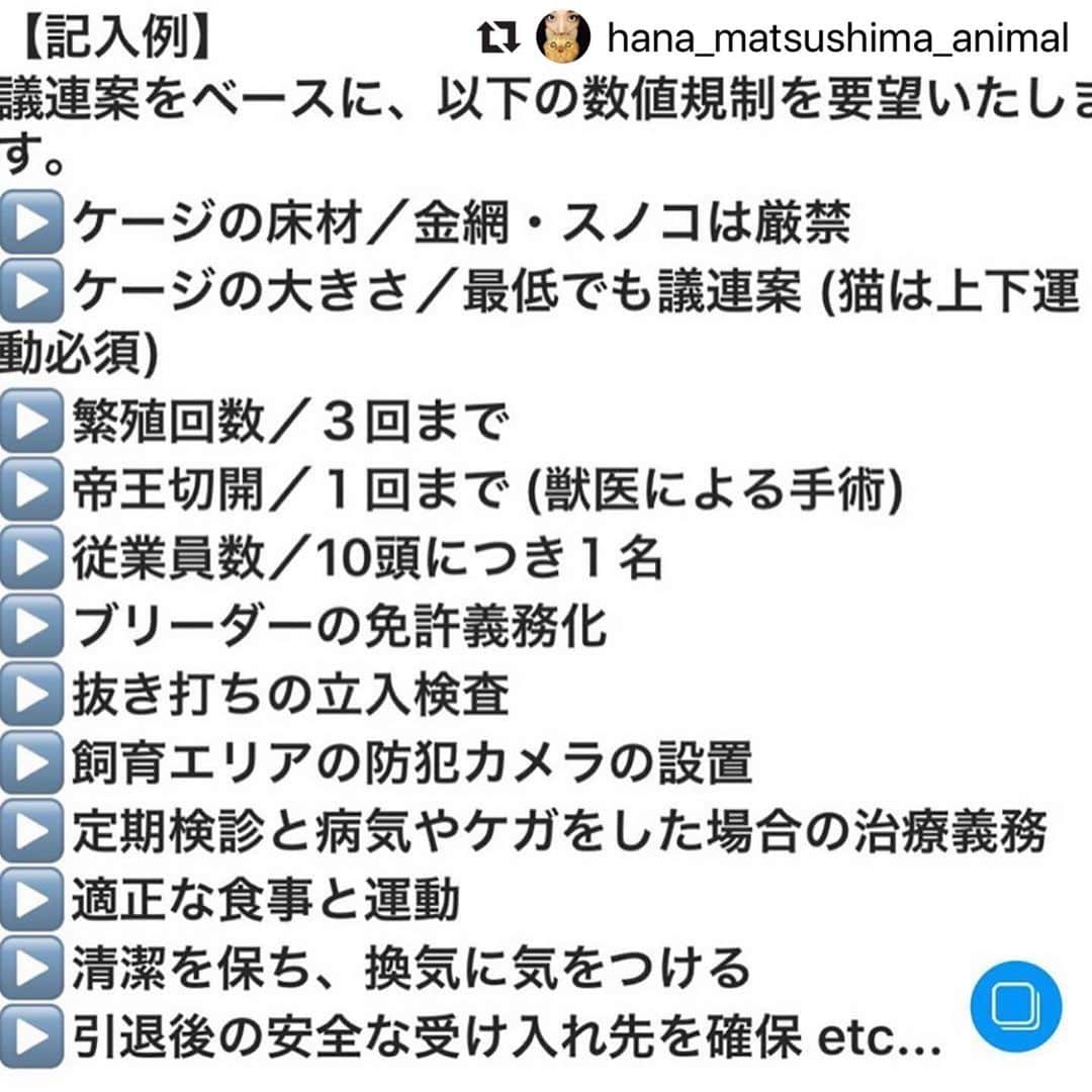 二階堂ふみさんのインスタグラム写真 - (二階堂ふみInstagram)「#動物のための数値規制を   松島花さん @hana_matsushima_animal  からリポストさせて頂きます。 明日10日は検討会です。 今も苦しむ小さな命を救う為に。 良い未来へ進みますように。  #Repost @hana_matsushima_animal with @make_repost ・・・ : #数値規制　 「悪質な繁殖業者やペットショップへの行政指導を行うため、施設の設備、飼育ゲージのサイズ、従業員1人あたりの上限飼育数など具体的な数値を定めるもの」 . この数値規制の具体的な数値の素案が 明日決まります。 私たちが声をあげられるのも…今日までです。 . 素案と言っても、1度決まってしまうと、 決まった数値で手続きが進んでしまいます。 . 〝動物愛護法〟は5年に1度改正されますが… 〝数値規制〟は省令なので、 次はいつ改正されるかわかりません。 . 10年間そのままになってしまうことも あるかもしれません。 . 動物のことを考えで営業されている 良心的なブリーダーさんのためにも… 人間にとって都合のいい数値ではなく、 今こそ #動物のための数値規制 になるように 声をあげてください🙏🐕🐈 . . #花アニマル #数値規制 #数値規制のためのメールアクション #声を届けて . . @shion.cher #Regram #Repost via @PackeDApp #PackeDApp   もう本当に時間ありません！ まだメールしてない人はもちろん、 拡散が何よりも力です。今の日本の裏の事情を教えてあげましょう。 動物にももちろん命があります。扱い方が酷すぎます。たったのメールで変わります。今回変わらなければまた10年この法が続くんです。 変えましょう。  何かあればDM下さい！ 質問でもメールの仕方でも！ 返事遅いかもしれませんが。。 でも一人一人#数値規制 についても深く調べてみて下さい！！皆さんわかりやすく説明してます！宜しくお願いします！十日までです😭😭」7月9日 21時06分 - fumi_nikaido