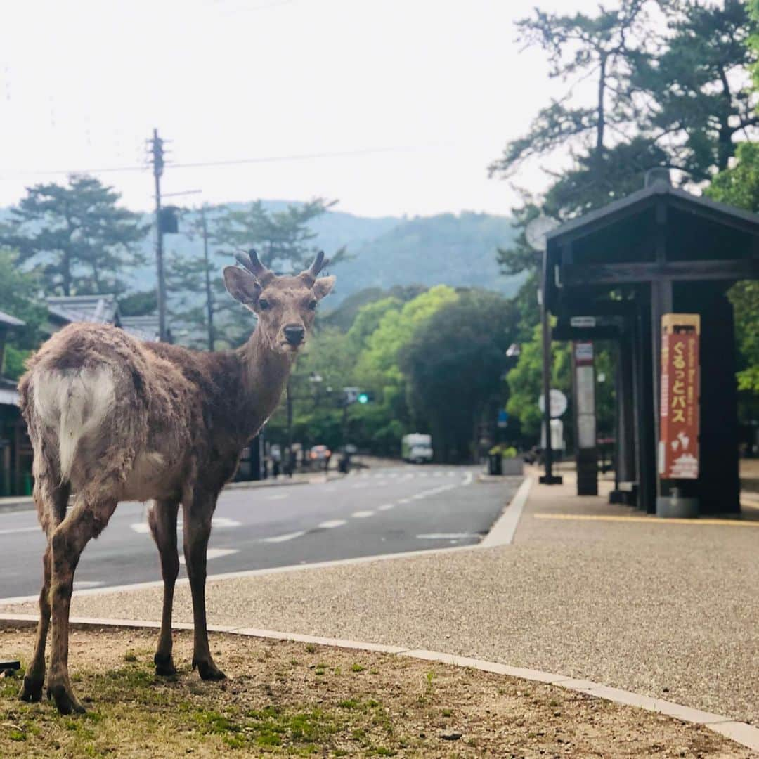 中川政七商店のインスタグラム