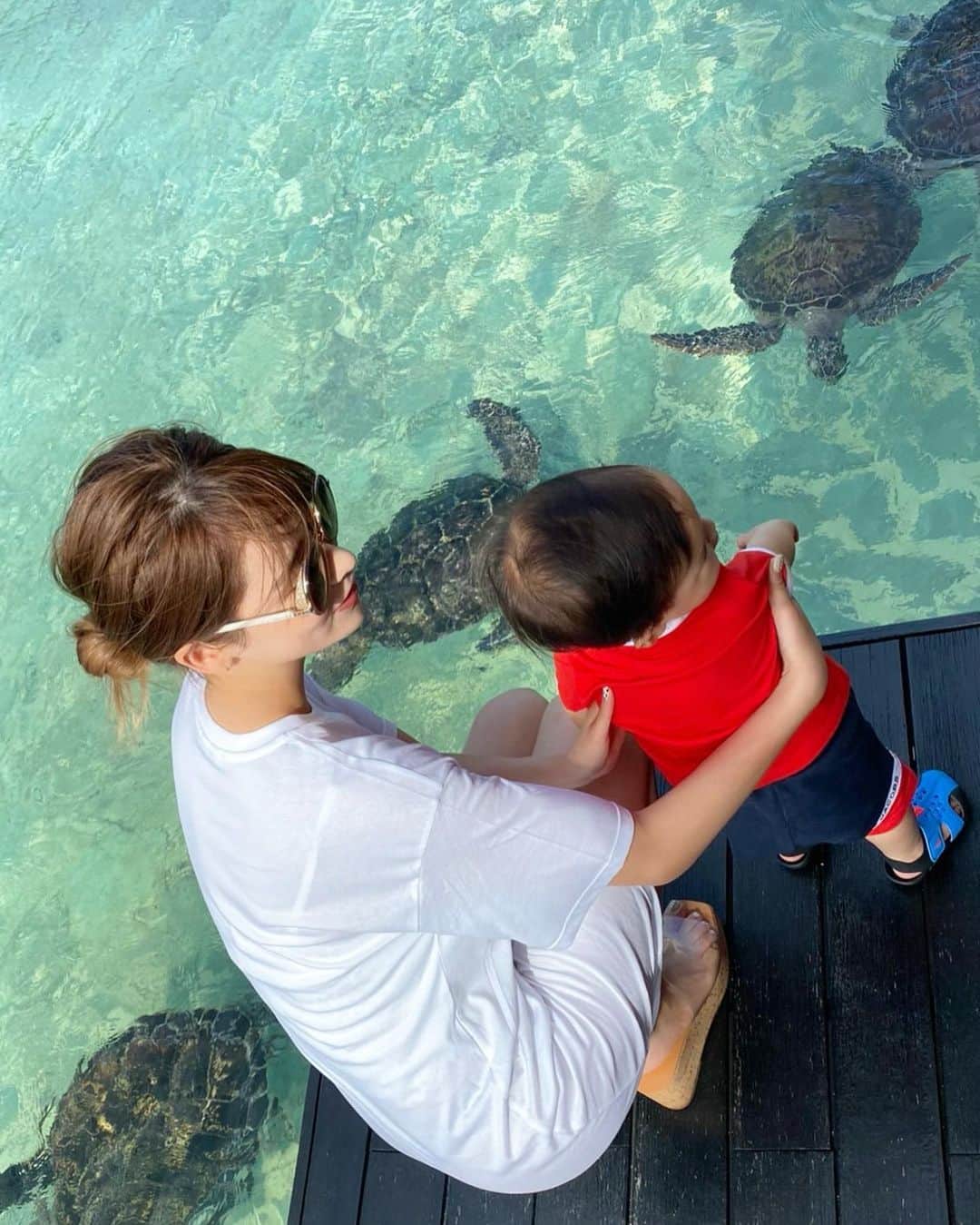 のインスタグラム：「. . . ホテルの敷地内に海亀がいるの🐢💕 餌やりも出来るし沢山いて可愛かった🥺 息子も上手に餌ぽいって出来てて 初めての海亀見てびっくりしてた🐢✨ . . . #シギラベイサイドスイートアラマンダ #シギラリゾート #シギラビーチ　#宮古島　#沖縄　#海亀」