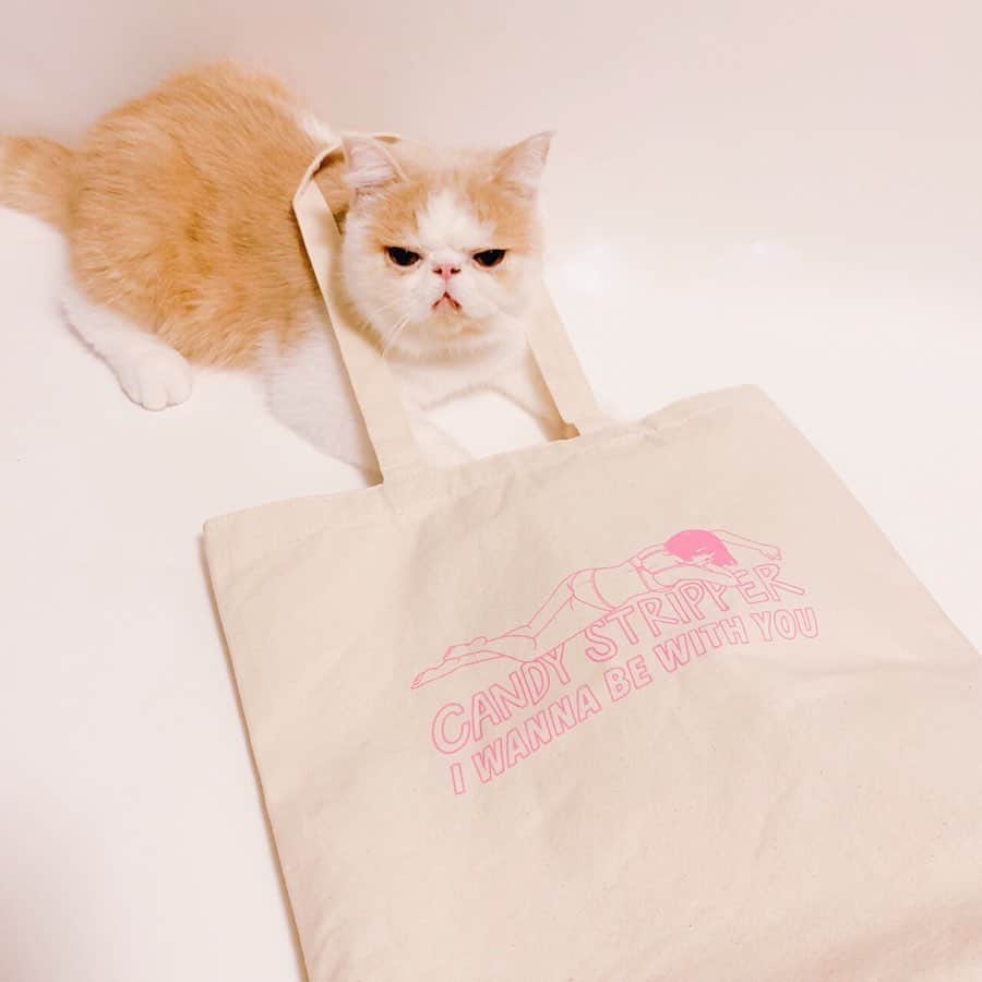 板橋よしえのインスタグラム：「. 先日2020 Autumn Exhibitionが終了いたしました。 3月に予定されていた展示会は開催中止でしたので、半年ぶりに皆さまとお会い出来ました😭 こんな時期に関わらず、ご来場頂き、また安全のご協力を頂いた皆さま方、本当にありがとうございました🙇‍♀️ ひさしぶりにお会い出来た皆さまと、お話することが出来たこと、お洋服たちを見て頂けたこと、とってもとってもうれしかったです😢✨ #candystripper #2020autumn #exhibition」