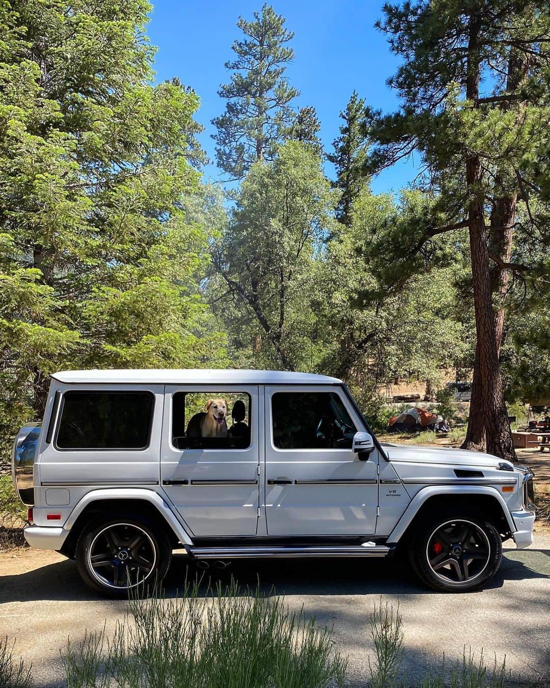 Jeff Bernatのインスタグラム：「BLESSED 🙏🏽」