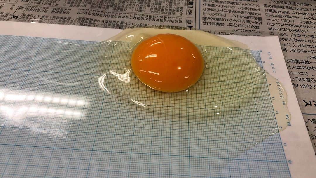 東京ベルエポック製菓調理専門学校さんのインスタグラム写真 - (東京ベルエポック製菓調理専門学校Instagram)「1週間も折り返しですね！☺️ 2年生はマジパン1人1作品完成しました！✨ 1年生の座学授業では卵の実験！🥚 3か月前の卵と1か月前の卵と最新の卵を割ってみました！🐤 全然違いますねぇ…😲 衛生的に作業することも大事ですが、安全な材料を使うことも大事ですね🥺 #東京ベルエポック製菓調理専門学校 #マジパン #細工 #卵 #腐敗 #実験 #食品衛生学 #パティシエ」7月9日 14時45分 - belleseika