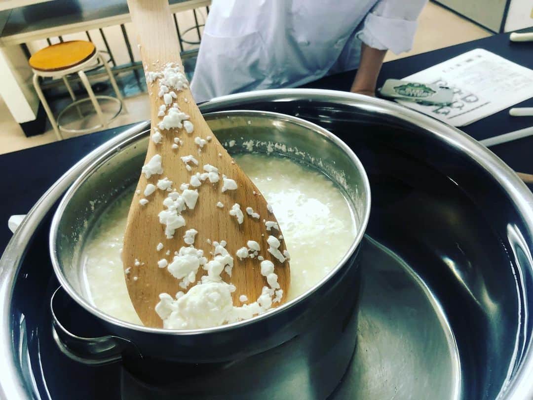 東京バイオテクノロジー専門学校さんのインスタグラム写真 - (東京バイオテクノロジー専門学校Instagram)「‪醸造発酵コース2年生の‬ ‪#発酵食品実習 では、‬ ‪#発酵食品 を実際に作製し、‬ ‪発酵について学びます！‬  ‪この日の授業では、‬ ‪#モッツアレラチーズ  の製造から、‬ ‪乳がかたまって豆腐状になった‬ ‪カードができる仕組みと‬ ‪#乳酸菌 の働きを理解しました🧀✨‬ ‪https://www.bio.ac.jp/gakka/jozo‬  #東京バイオ#理系#専門学校 #東京バイオテクノロジー専門学校 #醸造#発酵#実験#チーズ」7月9日 14時48分 - tokyobio