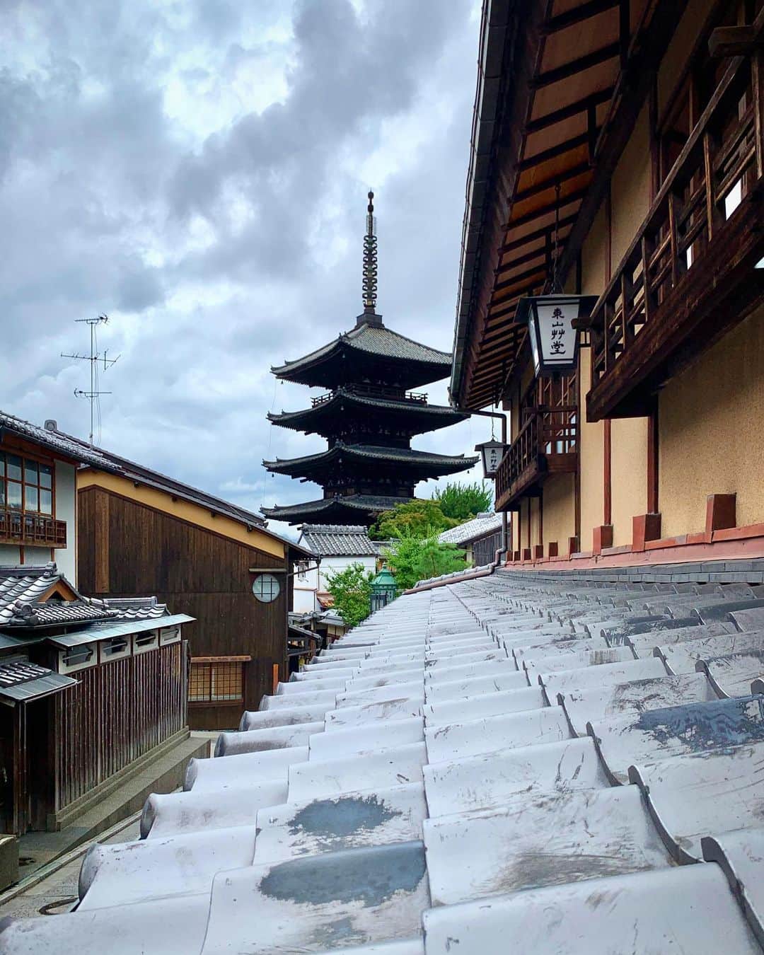 豊大槻さんのインスタグラム写真 - (豊大槻Instagram)「#kyoto  #yasakanotoh  #京都  #八坂の塔」7月9日 14時51分 - yutakachi