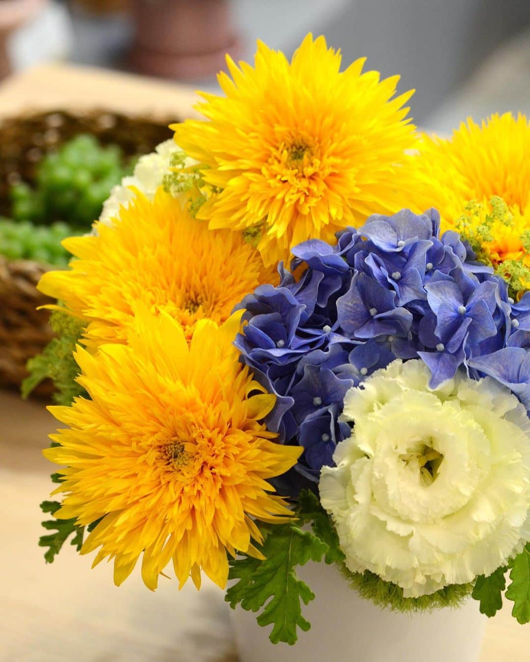AOYAMA_HANAMOさんのインスタグラム写真 - (AOYAMA_HANAMOInstagram)「誕生日や記念日の贈り物に、旬を迎えているヒマワリのアレンジメントはいかがでしょう。 黄色い八重咲きヒマワリと白いトルコキキョウに、鮮やかなブルーのハイドランジアがアクセント。白いプレーンな陶製花器に、明るい黄色と青空のようなブルーが際立つ、涼しげな印象のデザインです。 - - - #aoyamahanamo #flowers #flowershop #florist #instaflower #flowergram #flowerstagram #flowerlovers #花 #花屋 #生花店 #フラワー #ザ花部 #花のある暮らし #花のある生活 #青山花茂 #ヒマワリ #ハイドランジア #トルコキキョウ #sunflower #hydrangea #eustoma #アレンジメント #フレッシュフラワー #flowerarrangement #freshflowers #プレゼント #フラワーギフト #flowergift」7月9日 15時17分 - aoyama_hanamo