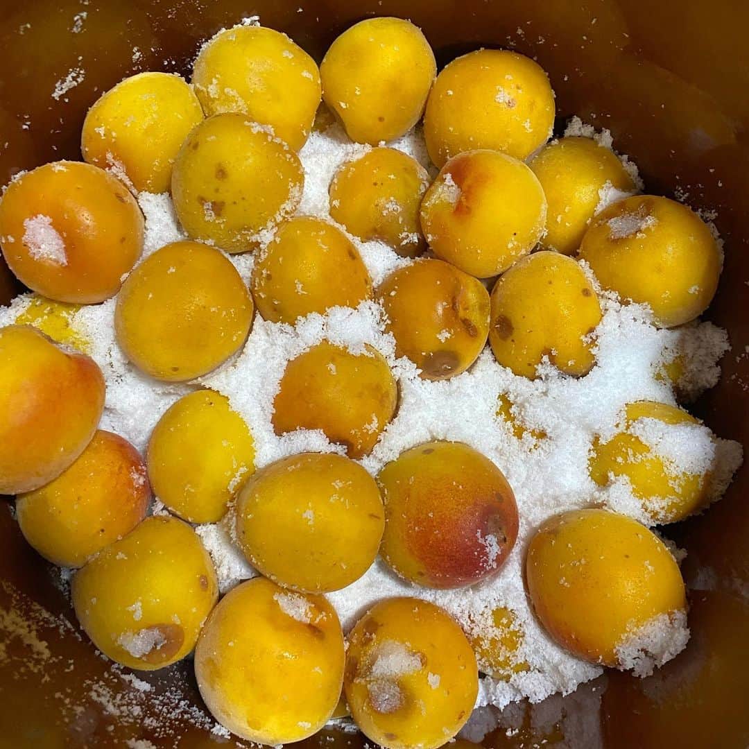 魔女菅原のグルメインスタ