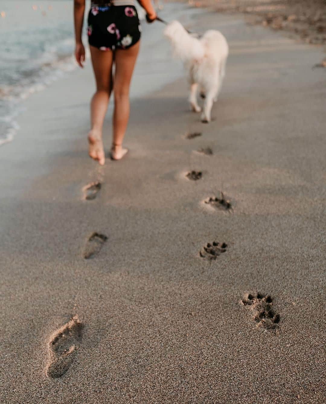 PAUL HEWITTさんのインスタグラム写真 - (PAUL HEWITTInstagram)「The best place for dog walking. 🐾🌊⚓️ #getAnchored #paulhewitt __ #footprints #dog #beach #nature #doglove #beachwalk #ocean #waves #paw #pawprints #accessories #watches」7月9日 17時01分 - paul_hewitt