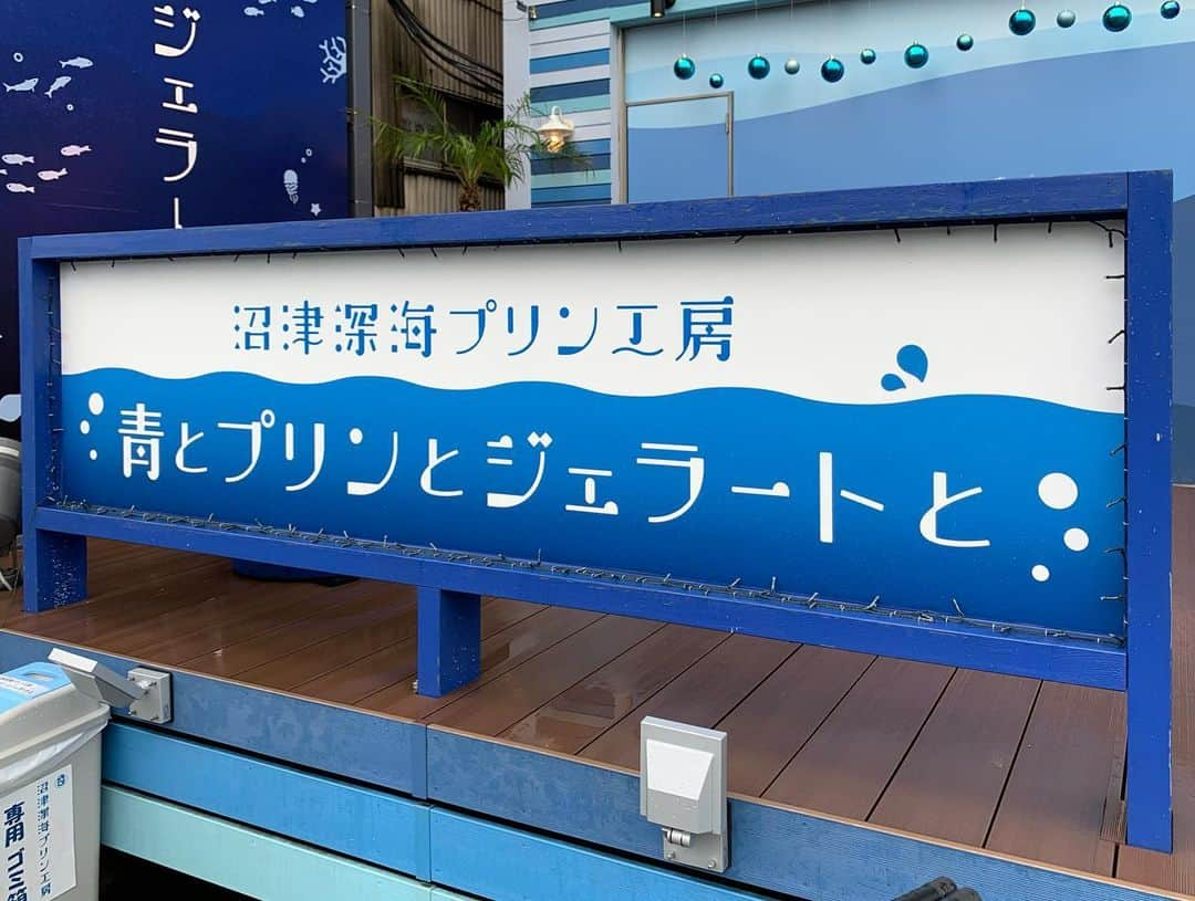 江村美咲さんのインスタグラム写真 - (江村美咲Instagram)「7/2〜7/9 沼津合宿  沼津市の皆様本当にありがとうございました🙏🏻  #静岡#沼津#フェンシング#サーブル」7月9日 17時15分 - emura_misaki