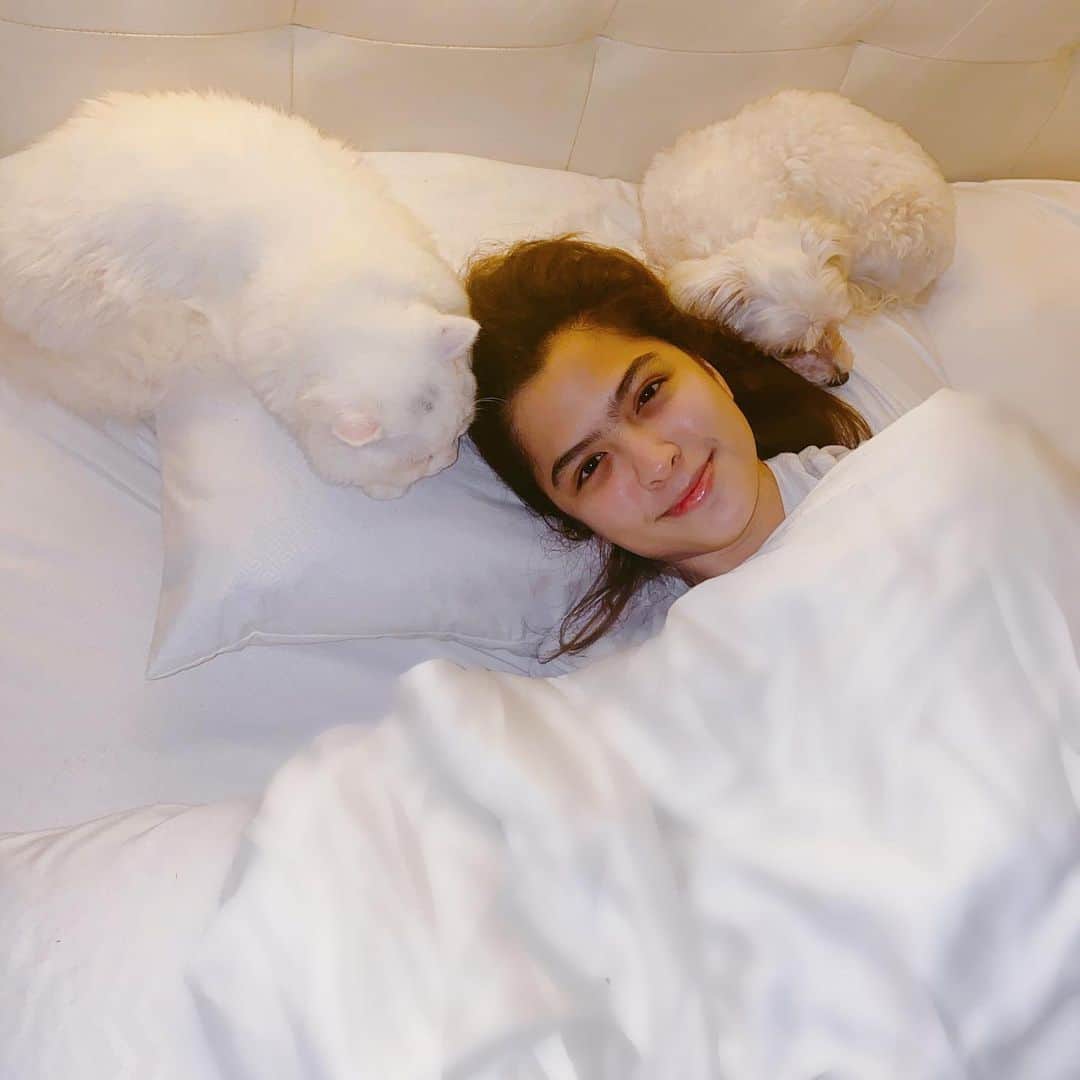 Alexa Ilacadさんのインスタグラム写真 - (Alexa IlacadInstagram)「Earlier last month I bought a weighted blanket from @blankethugsph because I was desperate to get some good sleep. I said I’d keep you guys updated on the results after using it for a while so here’s what I have to say.. If you know me personally, you know that I have always had trouble sleeping properly 😅 Pakiramdam ko talent ko na ang pagpupuyat 😂  I was really skeptical that this blanket could help, but to my surprise, it’s worked greatly! There’s something about the comfort it gives that I can’t explain. It feels like a big, warm hug and it puts me to sleep without me even noticing. 🥰  I truly love it and I think it’s a good buy 😊 Share ko lang. hehe. ✌🏻 PS. This is our sleeping position everynight 😂 I am sandwiched by two furry babies.」7月9日 17時21分 - alexailacad