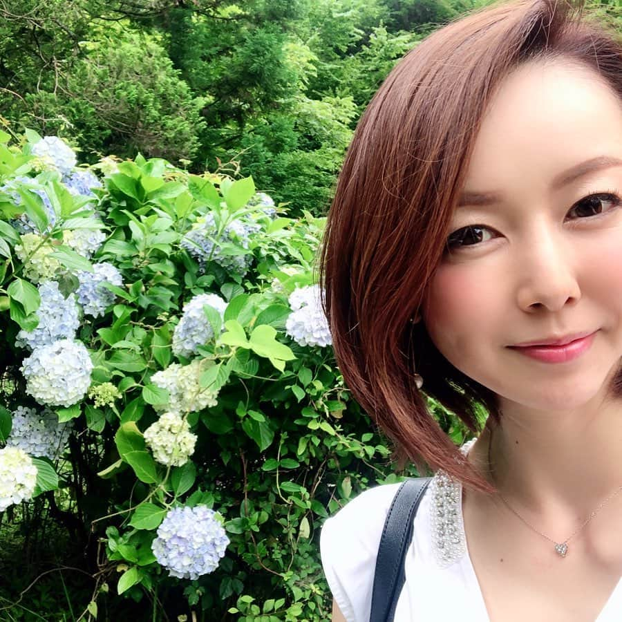 宮崎宣子さんのインスタグラム写真 - (宮崎宣子Instagram)「紫陽花と自然に癒されて、 浄化中🍀  #紫陽花 #浄化中 #ソーシャルディスタンス確保」7月9日 17時33分 - miyazaki_nobuko