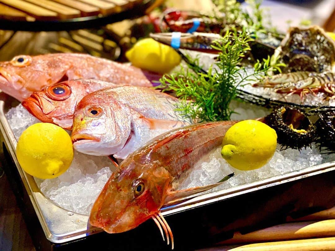 前川由希子のグルメインスタ