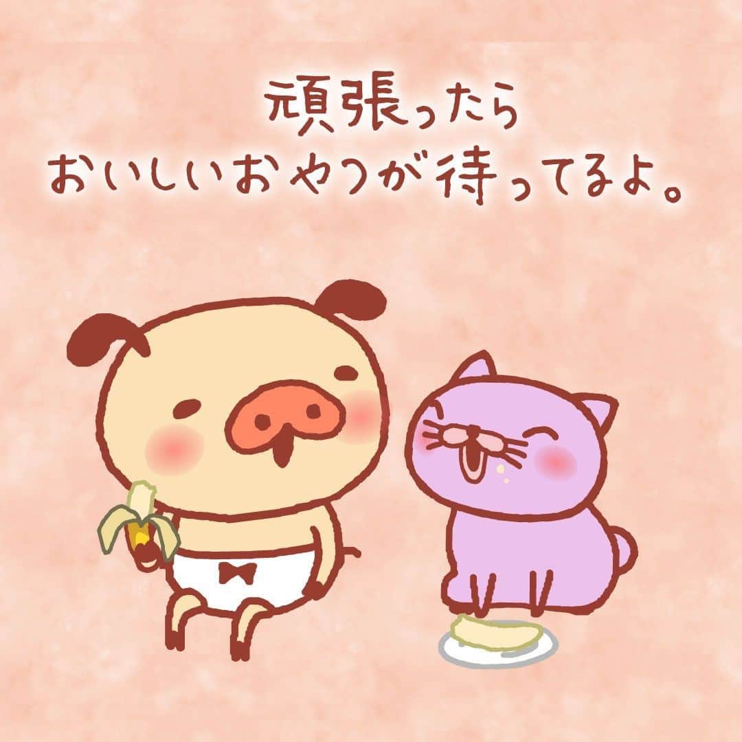 パンパカパンツ公式のインスタグラム