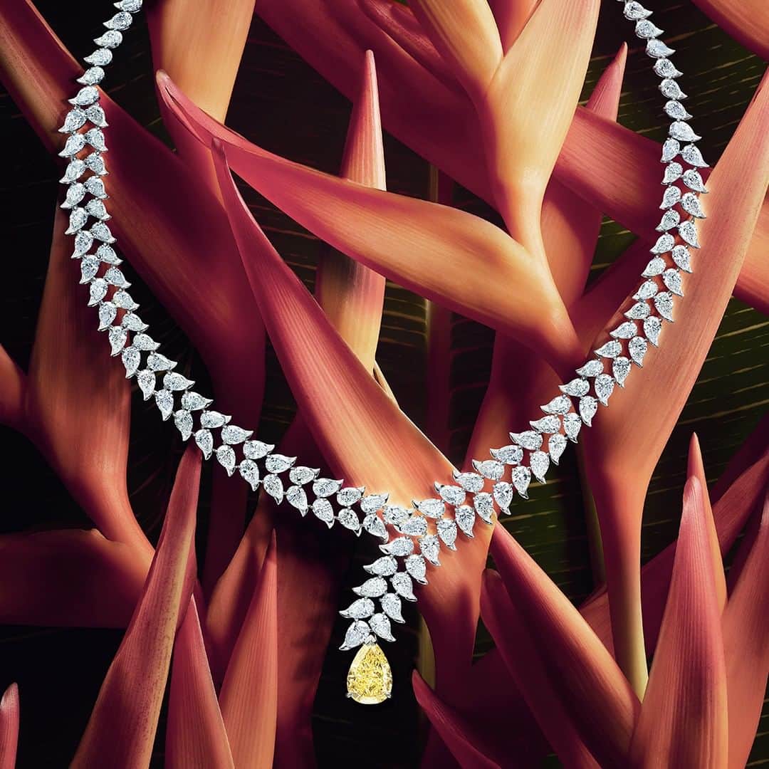 ピアジェさんのインスタグラム写真 - (ピアジェInstagram)「A unique creation, the Wings Of Light Diamond Heliconia necklace is a white gold necklace set with a single 6.46 carat pear-shaped fancy vivid 𝒚𝒆𝒍𝒍𝒐𝒘 diamond that can be worn four ways for four times the shine. A 𝒄𝒆𝒍𝒆𝒃𝒓𝒂𝒕𝒊𝒐𝒏 of nature's beautiful flower, the eponymous 𝒉𝒆𝒍𝒊𝒄𝒐𝒏𝒊𝒂 that thrives in tropical forests. - #Piaget #PiagetWingsOfLight #PiagetHighJewellery #DiamondNecklace #PiagetHighJewelry #HighJewelry」7月9日 18時00分 - piaget