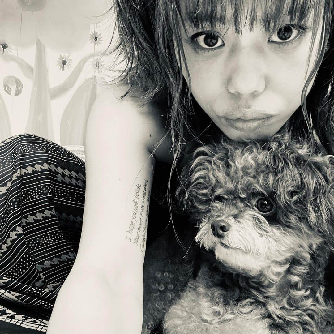 CHARAさんのインスタグラム写真 - (CHARAInstagram)「mojo&me」7月9日 19時04分 - chara_official_