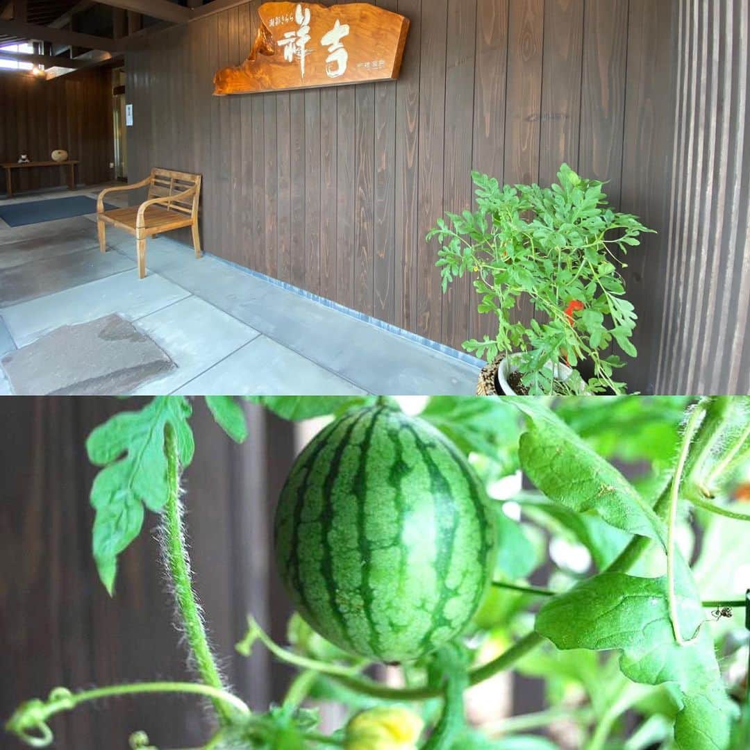 祥吉のグルメインスタ