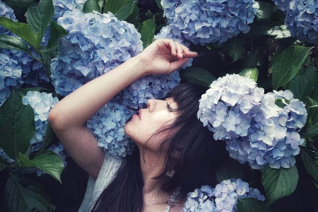 のインスタグラム：「* * 未来をみるのがこわいよ * *  過去の自分を越せるかな？  #紫陽花 #夏 #雨 #紫 #ポートレート #青 #花 #ポートレート #カメラマン #ふぁいんだー越しの私の世界  #作品撮り #カメラ #かずさん写真部  #モデル #美しい」