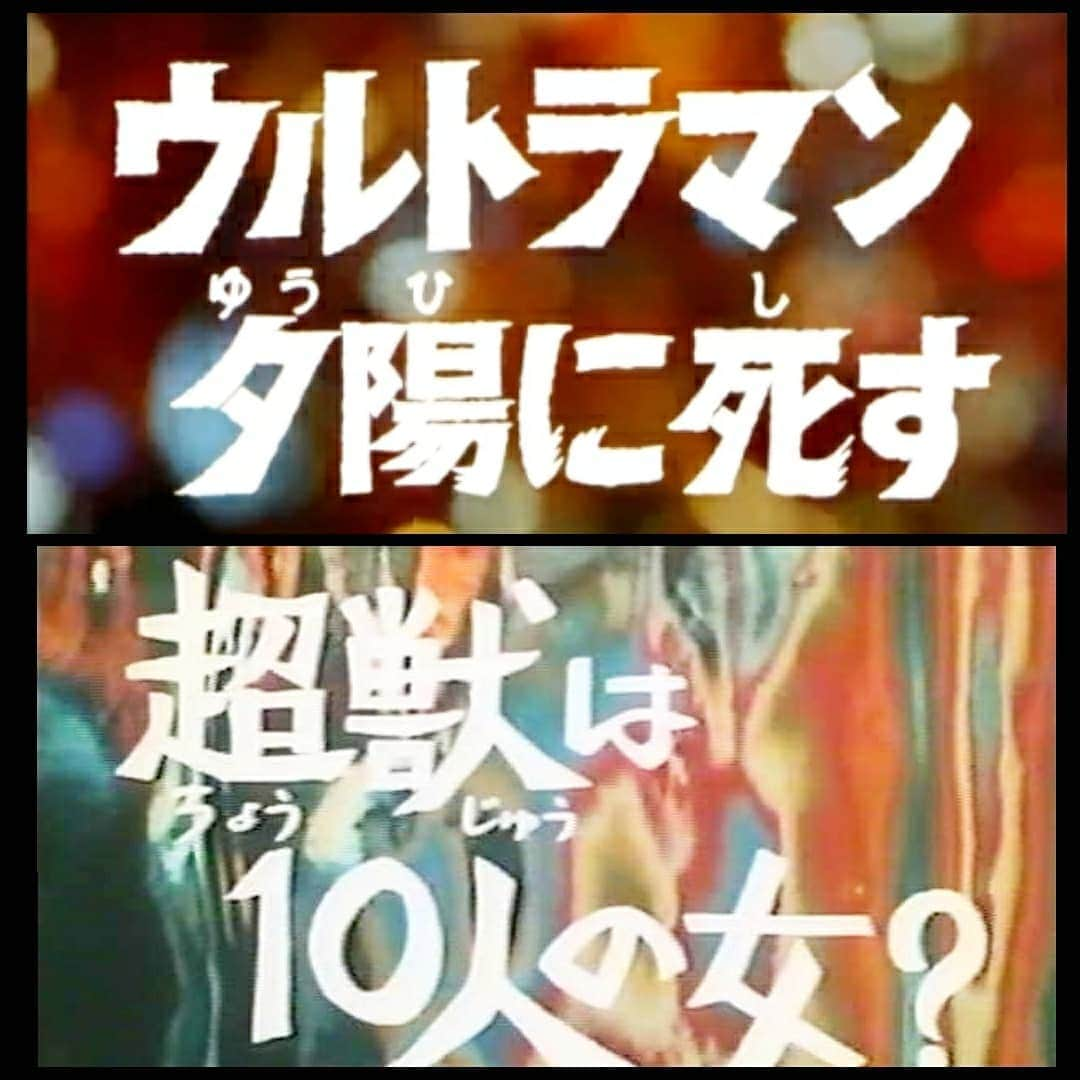 住吉大和さんのインスタグラム写真 - (住吉大和Instagram)「今日(7/10)はウルトラマンの日 ウルトラシリーズの好きな回教えてほしいです。  #ウルトラマンの日 #初代ウルトラマン #ウルトラセブン #帰ってきたウルトラマン #ウルトラマンエース #ウルトラマンＡ #怪獣無法地帯　→レッドキング1番好き #恐怖のルート87　→子供の魂が乗り移った #禁じられた言葉　→メフィラス好き #さらばウルトラマン　→初めて死んでショック #ダークゾーン　→アンヌ隊員可愛い #狙われた街　→メトロンの渋い話 #プロジェクトブルー　→おしりみたいな顔 #盗まれたウルトラアイ　→タイトル印象深い #ノンマルトの使者　→親泊泰秀さんも好き #セブン暗殺計画　→ガッツ星人の低い声 #ウルトラセブン参上　→セブンゲスト #悪魔と天使の間に　→隊長と少年が印象深い #怪獣使いと少年　→暗い話やけど名作 #星空に愛をこめて　→可哀相な話 #宇宙戦士その名はMAT　→テンペラーの役者いい #ウルトラマン夕陽に死す　→ブラックナックル #超獣は10人の女　→ハチのムサシは死んだのさ♪ #決戦エース対郷秀樹　→偽郷秀樹印象深い #死刑ウルトラ5兄弟　→十字架ショック #逆転ゾフィ只今参上　→ヤプール老人怖すぎ  もっと好きな回挙げたいですがインスタ写真10枚までなんでこんだけ挙げました」7月10日 6時49分 - sumikitiyama