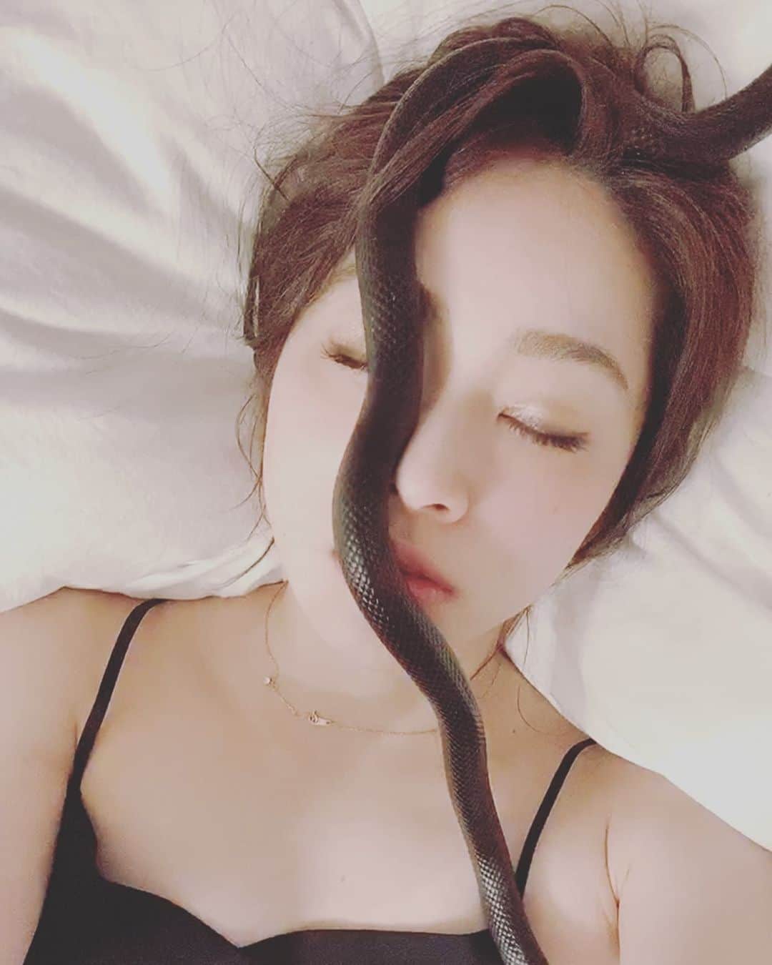 東森美和のインスタグラム：「最近の幸せな時間💓  #爬虫類 #爬虫類好きの人と繋がりたい #メキブラ #蛇 #蛇好き #salon #ペット #ペットのいる生活 #メキシカンブラックキングスネーク #愛してる #東森美和」