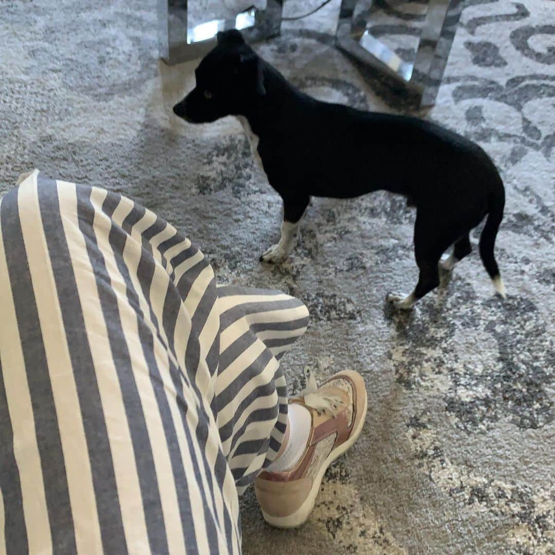 キャシー・グリフィンのインスタグラム：「I guess I wear striped pants now. 🤷‍♀️   #quarantine  #stayhome  #staysafe」