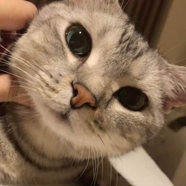 Alain アランのインスタグラム