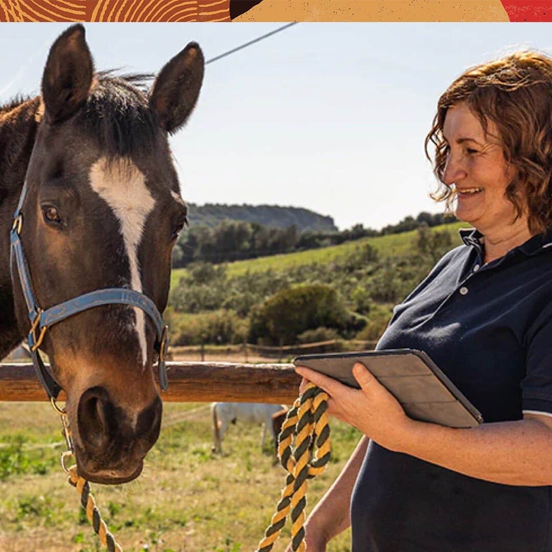 Oracle Corp. （オラクル）さんのインスタグラム写真 - (Oracle Corp. （オラクル）Instagram)「What does a horse massage therapist, a college student and a chemist have in common? They all built life-changing solutions using #APEX. #developer #developerlife   Swipe up in stories to learn more.」7月10日 6時18分 - oracle