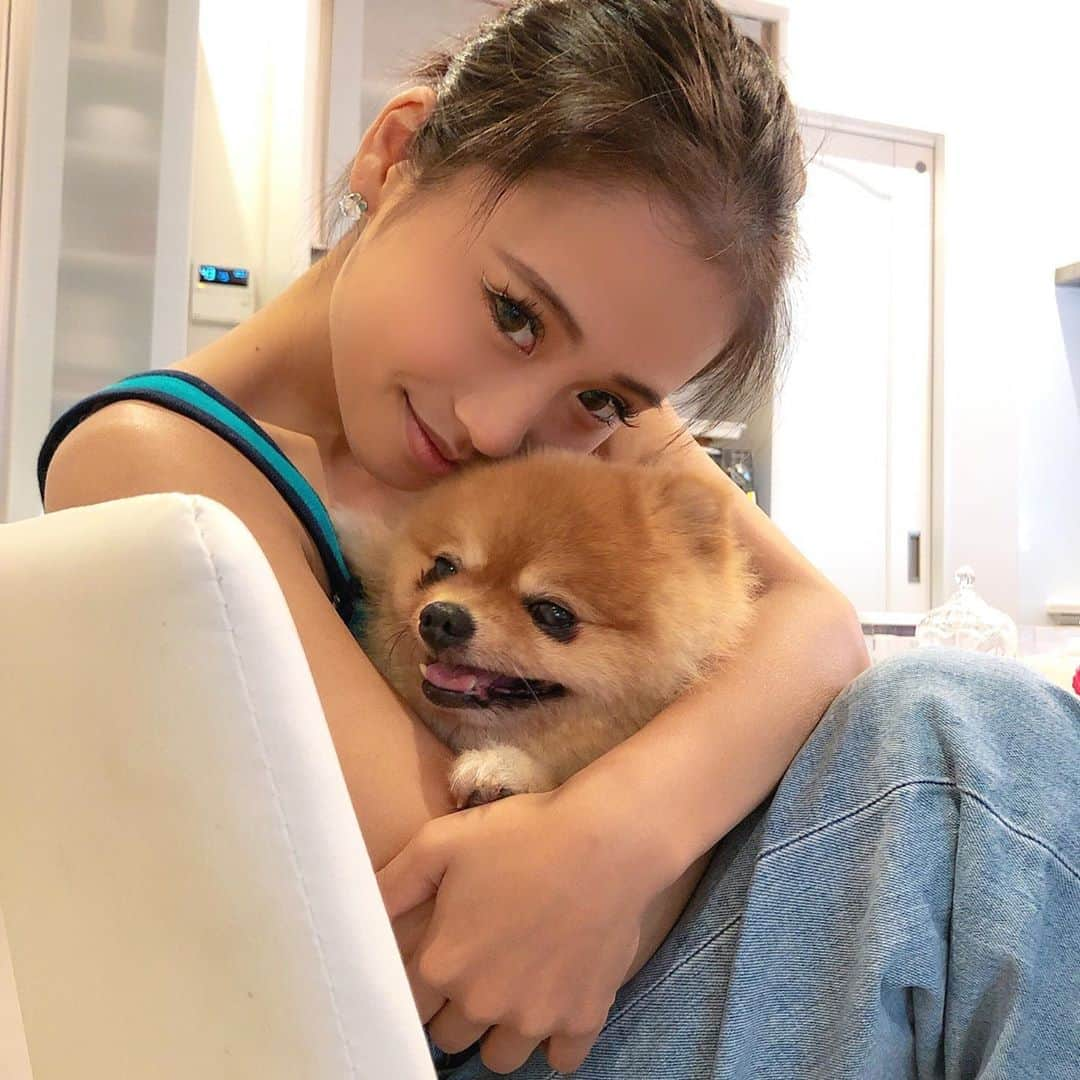 田辺莉咲子さんのインスタグラム写真 - (田辺莉咲子Instagram)「私の愛犬のぱぐりんや、お友達のわんこや猫ちゃんが私は大好きで、愛犬は私の心臓です🥺心から出会えてよかったと思う！  でも、ひとりで窮屈な環境で生きている動物達も世の中には沢山いて、一緒に暮らす事はできないけど、少しでもいい環境で生きてほしいと思います。 飼育ゲージの「数値規制」について、7/10に検討会が開かれます。窮屈な環境を少しでも改善する為に、環境省動物愛護室へ意見メールを送りました。本当に悲しい現実なので、詳しく書くのを控えましたが、ネットで調べたら沢山出てくるので見てみてください！ メールの宛名や、内容の例なども沢山出ているので、見てみてね。みんなで動物を守りたい。！ #数値規制メールアクション  #数値規制 #繁殖犬  #愛犬」7月9日 22時06分 - risako_tanabe