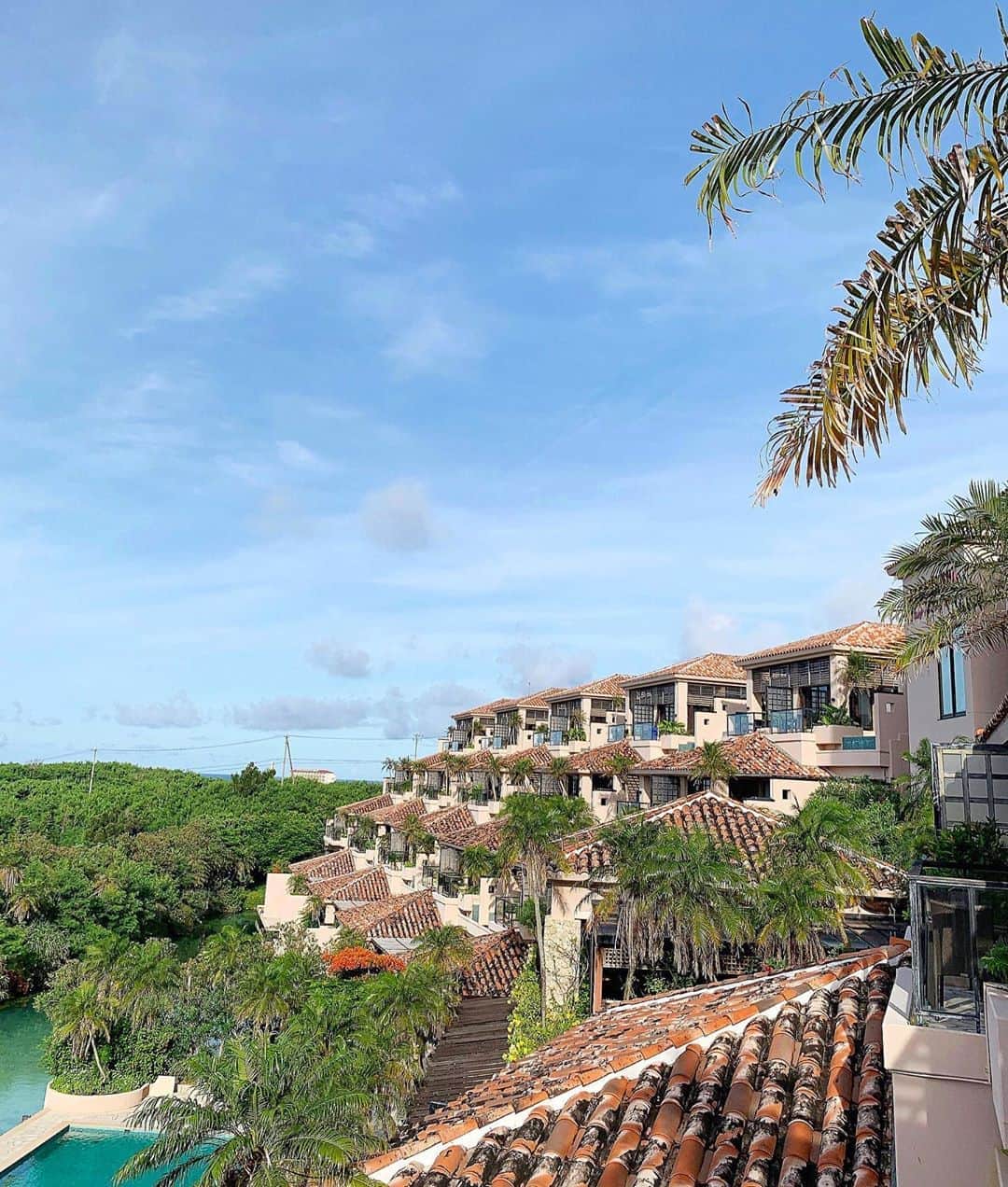 左近鈴乃のグルメインスタ