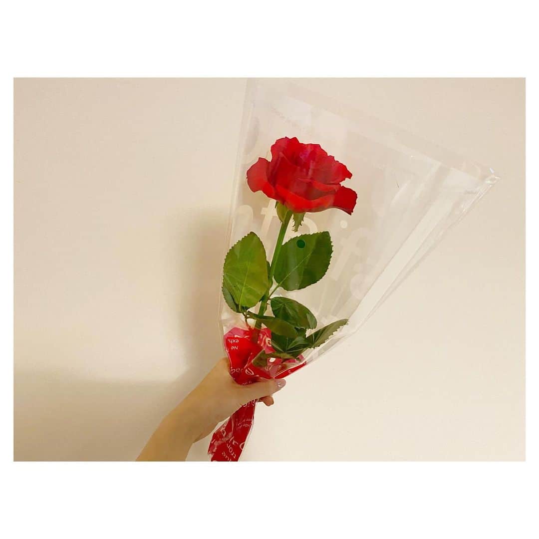 のインスタグラム：「🌹 昨日プレゼントと一緒にもらった薔薇✨ 前にも薔薇を貰ったとき 残したくてドライフラワーにしたのですが イマイチ上手くできず、、、 オススメのドライフラワーの方法を教えてください💭」