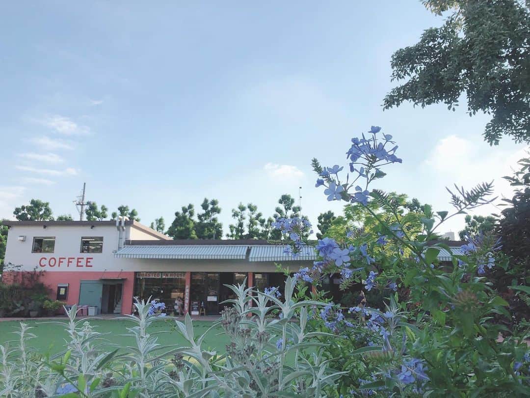 四島早紀のグルメインスタ