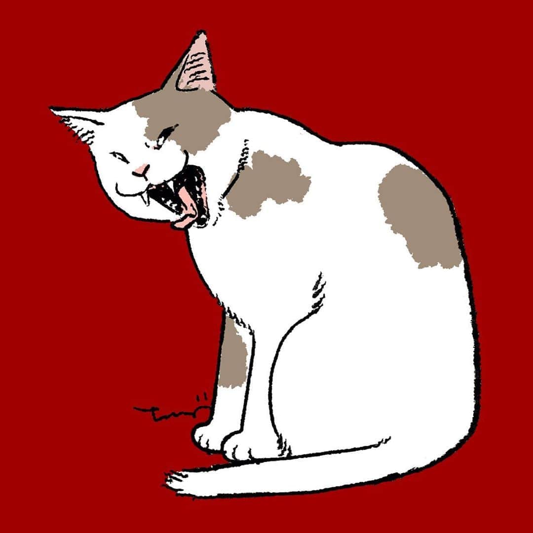 丹地陽子のインスタグラム：「#cat #illustration」