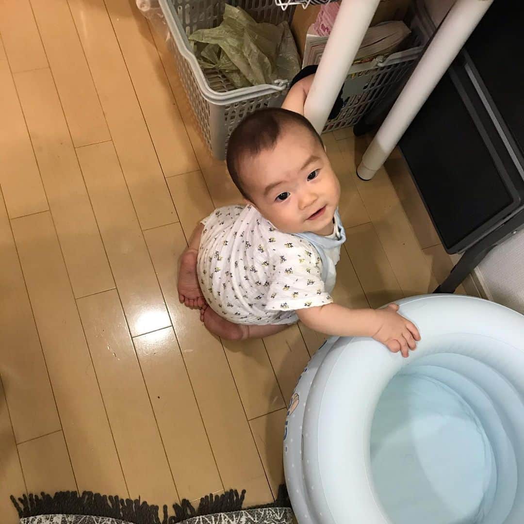 宮脇静香さんのインスタグラム写真 - (宮脇静香Instagram)「東京戻ってきてあっという間に 2週間が経ちました！ あおいもすっかりうちに慣れて ハイハイやつかまり立ちなど 毎日パワーアップ🔥 . とにかく家事育児を楽に、、と 毎日家の改造に勤しんでいます。笑 まずエプロン取り入れました😊 料理中抱っこ紐入れてて 足とか死角になるから怖くて！ それと、離乳食とかの食器が増えたので、 ダイニング近くにラックを増やし、 ついでにレンジもそこへ移動させて 離乳食のレンチン待ちとかも楽になったー！ あとは旦那ちゃんのワークデスク作ったから ご飯前の「テーブル片付けて〜」がなくなった！ こういうプチストレスはできるだけ排除して 心に余裕を持ちたい。笑 すぐいっぱいいっぱいになっちゃいそうで😅 . なんか腕がたくましくなったかも？笑 ずっと8キロのダンベル左手で抱っこして 右手で家事してるんだからそうなるよね笑 #子育てあるある 全国の旦那さま 仕事から帰ったらぜひ子供を 抱っこしててあげてください😂 夜ご飯一緒に食べられるときは 旦那さんが抱っこして ママが自由に動けるひとときをあげてください😂 それだけでもとっても助かるものです😚 . ママは子供と2人の時はたとえご飯中だって 落ち着いてる時間ないよね🙈 ご飯は早食い、お風呂はダッシュのクセが 見事についてしまいました。笑 実家では私が先に自分の体洗って、 呼んだら連れてきてもらってたんだけど 「預けてるから」「泣いたらいけない」て 考えて結果ダッシュ♨️ 最初は 「連れてきてもらえる〜わーいちょっとゆっくりさせてもらお〜♪」 とか考えたけど、無理だった。笑 今は旦那氏がお風呂入れてくれても、 自分が入ってる時に泣いて起きたら… て考えて結果ダッシュ。笑 これ絶対育児あるあるだよね。笑 . スマホ見ててもインスタ見る時間すごい減った😳 いいことかも笑 保育園のこと調べたり、 ネットスーパーで買い物したり、、 今思えば実家ってかなり余裕あったんだな、、笑 ありがたすぎる。 その余裕を持ててたことで あおいへの愛をより育めたし、 大切な時間ではあったと思う😊 そして料理が変わった。 薄めの味&家庭的メニューに👏笑 あと洗濯物毎日回すようになって めちゃ掃除するようになって めちゃタオル使うようになった笑笑 あとお風呂とシンクの排水溝カバー取って 強制的に掃除したくなるシステムにした笑 「こうじゃなきゃいけない」とかをどんどん捨ててます🐒 #子育て#育児#男の子ママ#6ヶ月baby#生後6ヶ月#6ヶ月ベビー#6ヶ月男の子#赤ちゃん#赤ちゃんのいる生活#家事動線」7月10日 0時24分 - shizukaaa8