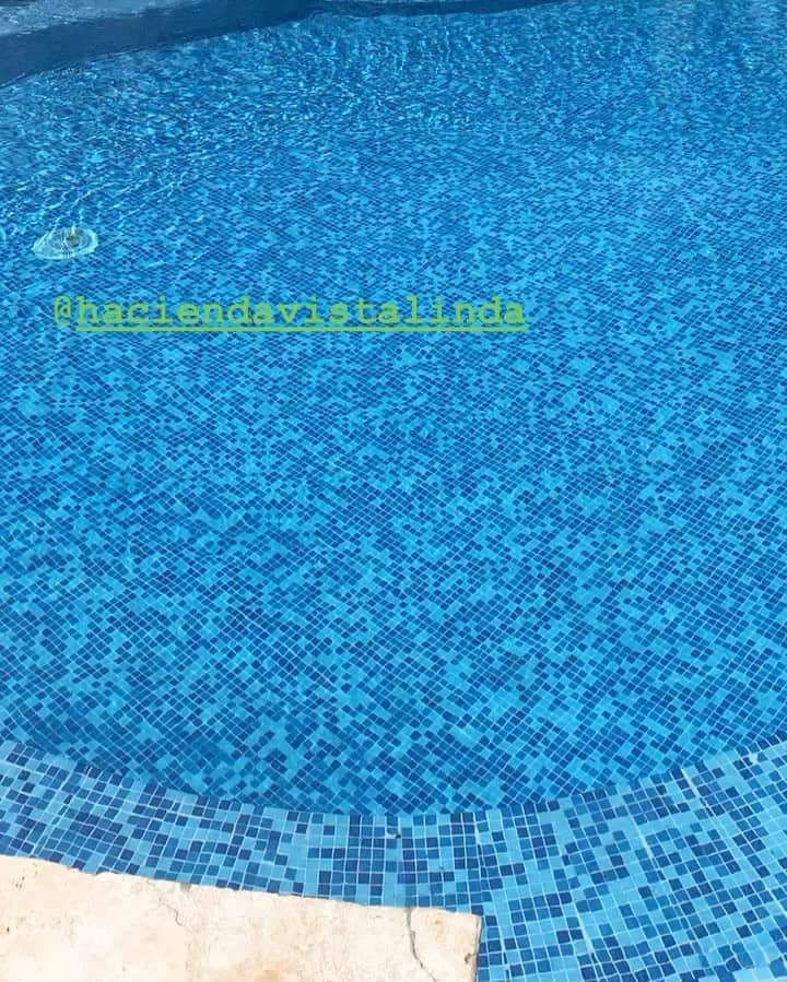 ジョーダン・ノルベルトのインスタグラム：「@haciendavistalinda 😍🌲🦚🌴🍀🌷🦆🌵🌹😉 Te esperamos」