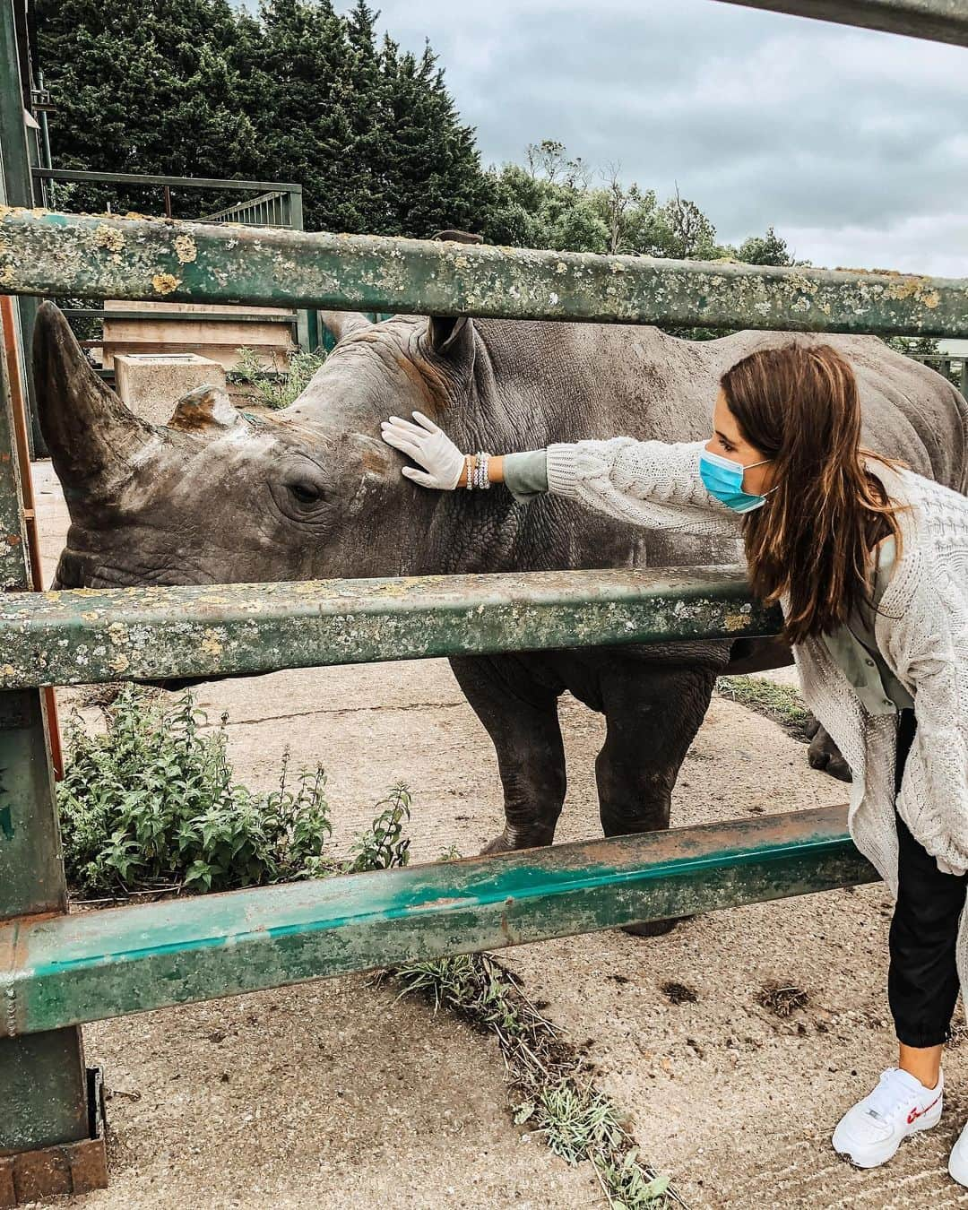 アレクサンドラ・フェルステッドさんのインスタグラム写真 - (アレクサンドラ・フェルステッドInstagram)「Had the MOST magical stay at @portlympnepark - didn’t want to leave it was incredible! ‘The Lions Lodge’ was one of the most unique, special places I’ve ever stayed in... and I couldn’t recommend it more! The best place to create memories - Defiantly one for the bucket list!🦁   In recent years The Aspinall Foundation has released 8 black rhino, 12 grizzled langurs, 90 ebony langurs, 33 Javan gibbons, 11 European bison and over 70 western lowland gorillas back to their native homelands.  They also protect 1,000,000 acres of gorilla habitat on the Bateke Plateau, operate a gorilla orphanage in Congo, run a project in Madagascar protecting lemurs and manage two primate rehabilitation centres in Java. In addition, The Aspinall Foundation rescued an entire herd of elephants from an abandoned reserve in South Africa and have just become the first organisation in the world to send cheetahs born in the UK back to their ancestral home of South Africa for rewilding.   What an incredible foundation 🙏🏼💙 Absolute honour to have witnessed it all. Will 100% be back next year to see what they’ve got coming up next ;)!!! @theaspinallfoundation #gifted」7月10日 1時11分 - binkyfelstead