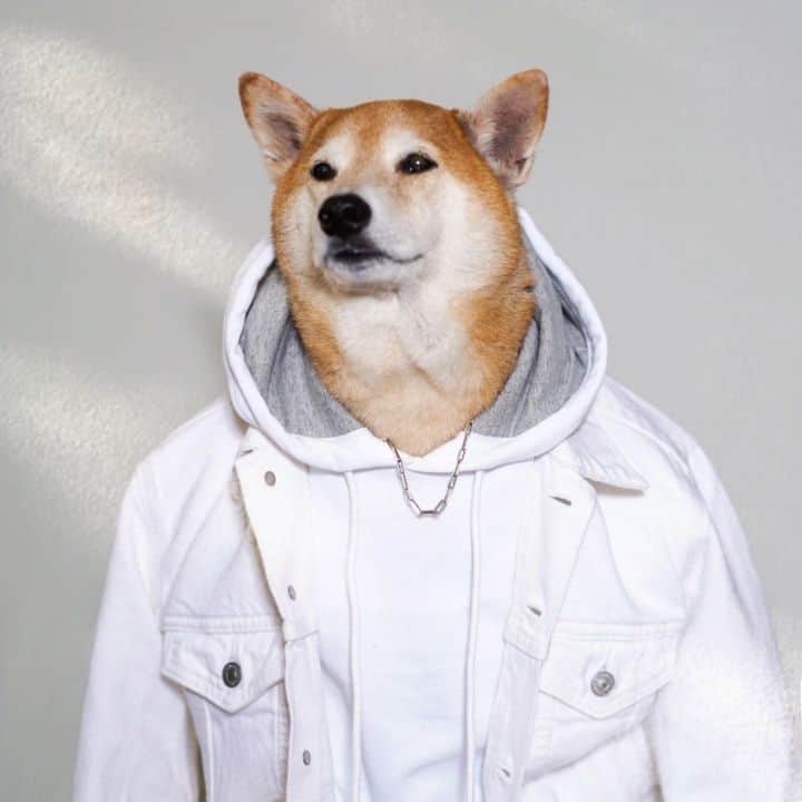 Menswear Dogのインスタグラム：「Clear your mind with Sage Shibe  1. Close your eyes and take 3 deep breaths 2. Continue breathing and when thoughts come, let them pass with each exhale  3. Bring your mind to the present and listen to the sound of your breath, the sound of swaying trees or birds chirping  4. Direct your attention to things that you are grateful for  5. Set an intention for your day to bring you closer towards goals that invigorate you  6. Save this video and repeat whenever you want 60 seconds to center your mind   #MindfulDog #Woosa」
