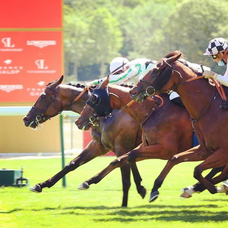 ミカエル・ミシェルさんのインスタグラム写真 - (ミカエル・ミシェルInstagram)「Longchamp  ‼️38th 🏆Winners in 2020🇯🇵🇫🇷🇸🇦 Circle Of Hands🏇🏼 @NCaullery  Z.Wentworth 🎩/ Itchen Valley Stud Congrats to whole the team 👏🏼 @JRAVAN_info @nar_keiba @JRA_WorldRacing @TheNYRA @WHR @HKJC_Racing @netkeiba @umatoku_hochi @BreedersCup @HorseRacing_JPN @thesaudicup」7月10日 1時56分 - mickaelle_michel_officiel