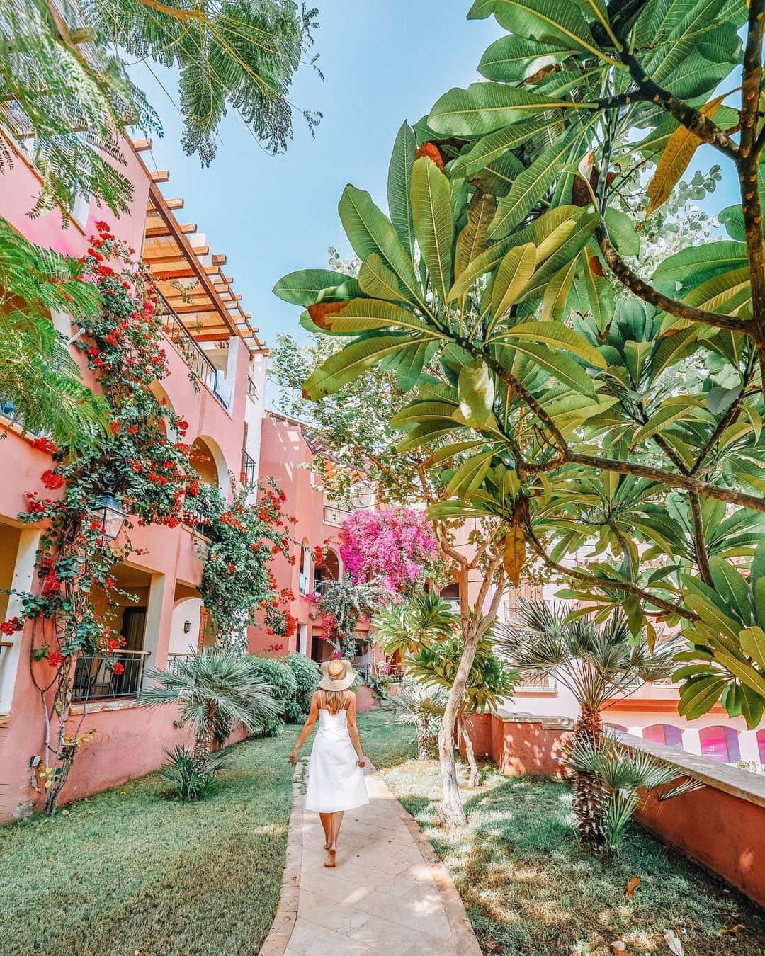 Izkizのインスタグラム：「Wander often, wonder always ✦*ﾟ Exploring secret gardens in Jordan 🌿」