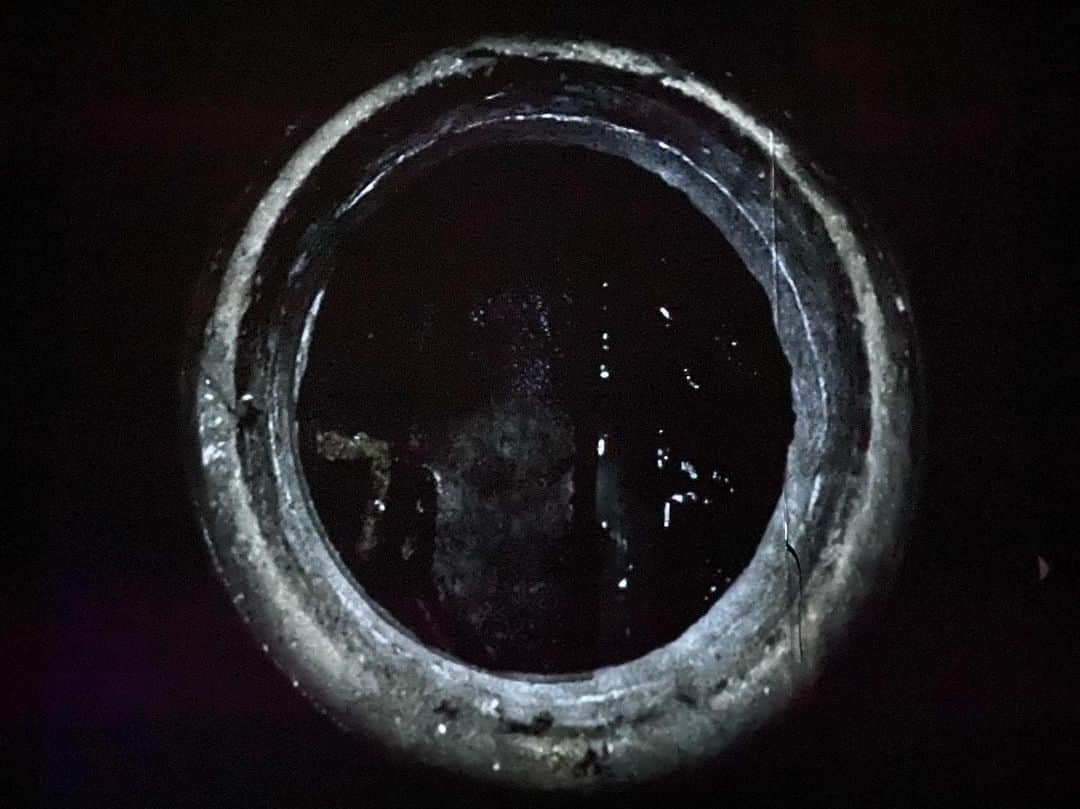エリイ さんのインスタグラム写真 - (エリイ Instagram)「「A Drunk Pandemic」 2019  2019年イギリス・マンチェスターのヴィクトリア駅地下にある巨大な廃墟のトンネルで展開したプロジェクトです。これはマンチェスター・インターナショナル・フェスティバル（MIF）の一環として制作・発表され、ArtReview誌（September 2019）の表紙を飾り大きく特集された、日本では未発表のプロジェクトです。 Chim↑Pomは、コレラで亡くなった人々が埋葬されたマンチェスターの地下（現在のヴィクトリア駅地下）の廃墟に「ビール工場」を設置し、オリジナルビール「A Drop of Pandemic」を醸造。コレラや酵母といったバイオ的なプロセスを可視化し、それらと下水道などの街のインフラにまつわる歴史的な関係を文脈とした、Chim↑Pomの「都市論」として展開されます。 マンチェスターは産業革命発生の地として知られますが、当時の急激な都市化による劣悪な衛生環境は、コレラの蔓延を引き起こした大きな要因であり、近代都市の上下水道の衛生改革などのインフラ整備は、コレラ対策としてなされたといいます。コレラ患者は老人や虚弱者、労働者、酒飲みなどの貧困層に偏っていたことから、裕福な層は彼らを道徳的に劣っている、すなわち「コレラ＝不道徳」という考え方があり、その「不道徳な病気」を撲滅するには「不道徳な人間」の生活環境を、道徳的に向上させなければいけないーーー、衛生革命や公衆便所の設置は、そんな発想で行われたとも言われています。 19世紀のコレラ流行時、一度煮沸してから醸造されるビールは、民衆の間では「水か酒か」という議論がなされたほど、生水の代替品として考えられていました。 MIF会期中、Chim↑Pomが醸造したビール「A Drop of Pandemic」の直営店としてトレーラー型公衆便所を「Pub Pandemic」（トイレとしてもバーとしても機能する場）として開き、Chim↑Pom自らがバーテンダーを務めました。その「Pub Pandemic」のトイレから、下水道を延長し、会場内にセメント・ブリック工場「Piss Building」を設置。来場者の尿が混じった汚水（を消毒したもの）でブリックを量産、それらは最小単位の建築素材としてオーダーに応じ、マンチェスターの街路や家の修復材としても使われました。 この度ノン-サイト（Non-Site）であるギャラリーでのインスタレーションとして結実します。  #mif19 @contactmcr」7月10日 4時04分 - elliechimpom