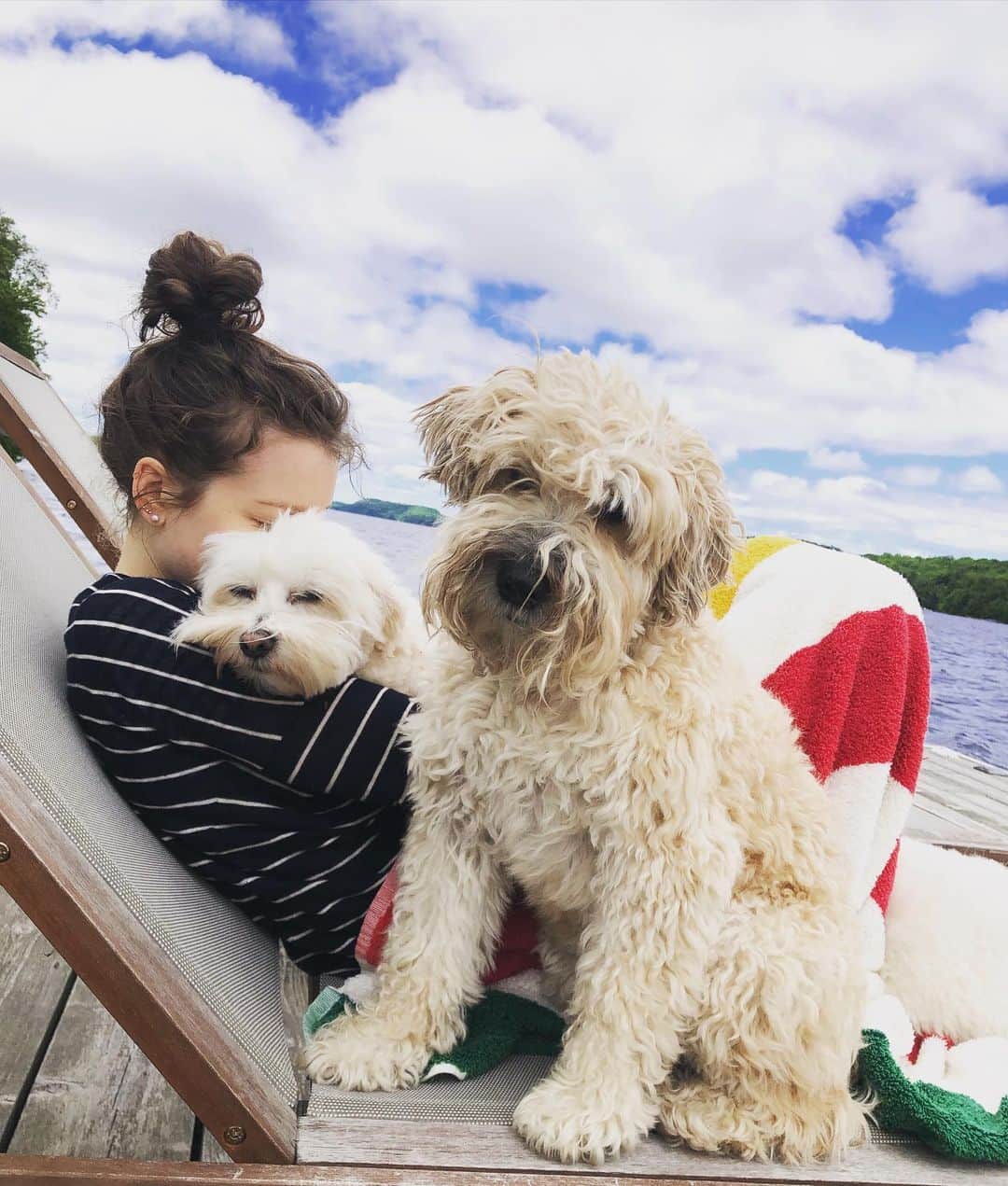 アレクサンドラ・ポールのインスタグラム：「🐶 #coton #cotondetear #wheatenterrier」