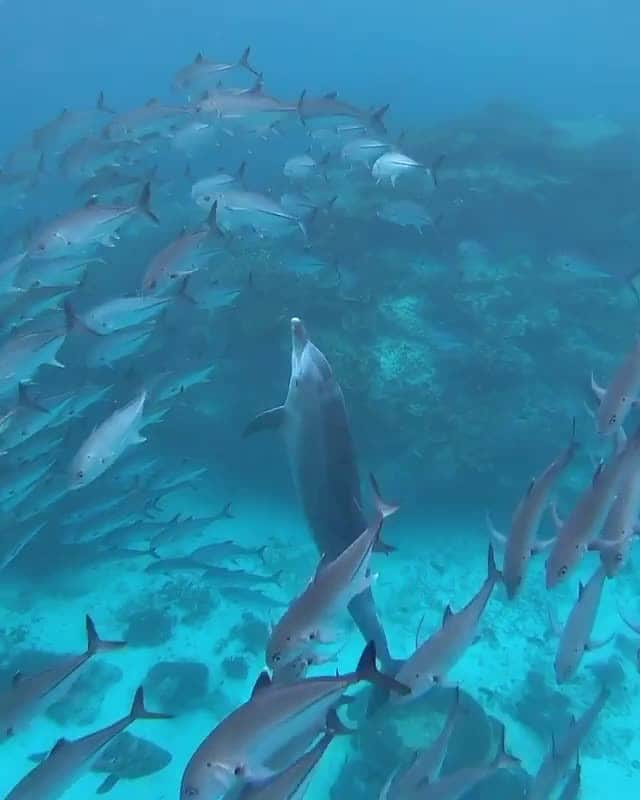 Australiaのインスタグラム